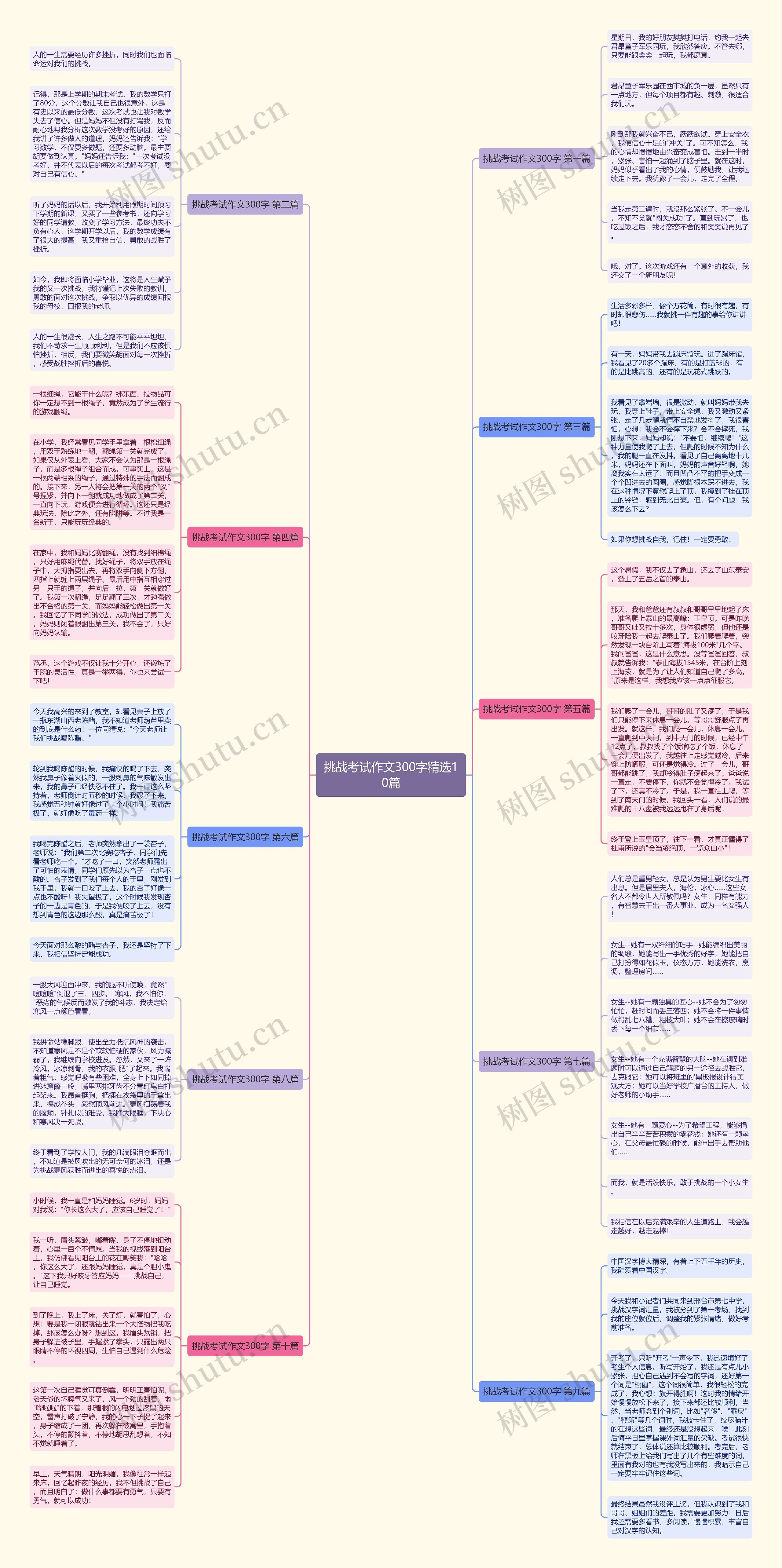 挑战考试作文300字精选10篇思维导图