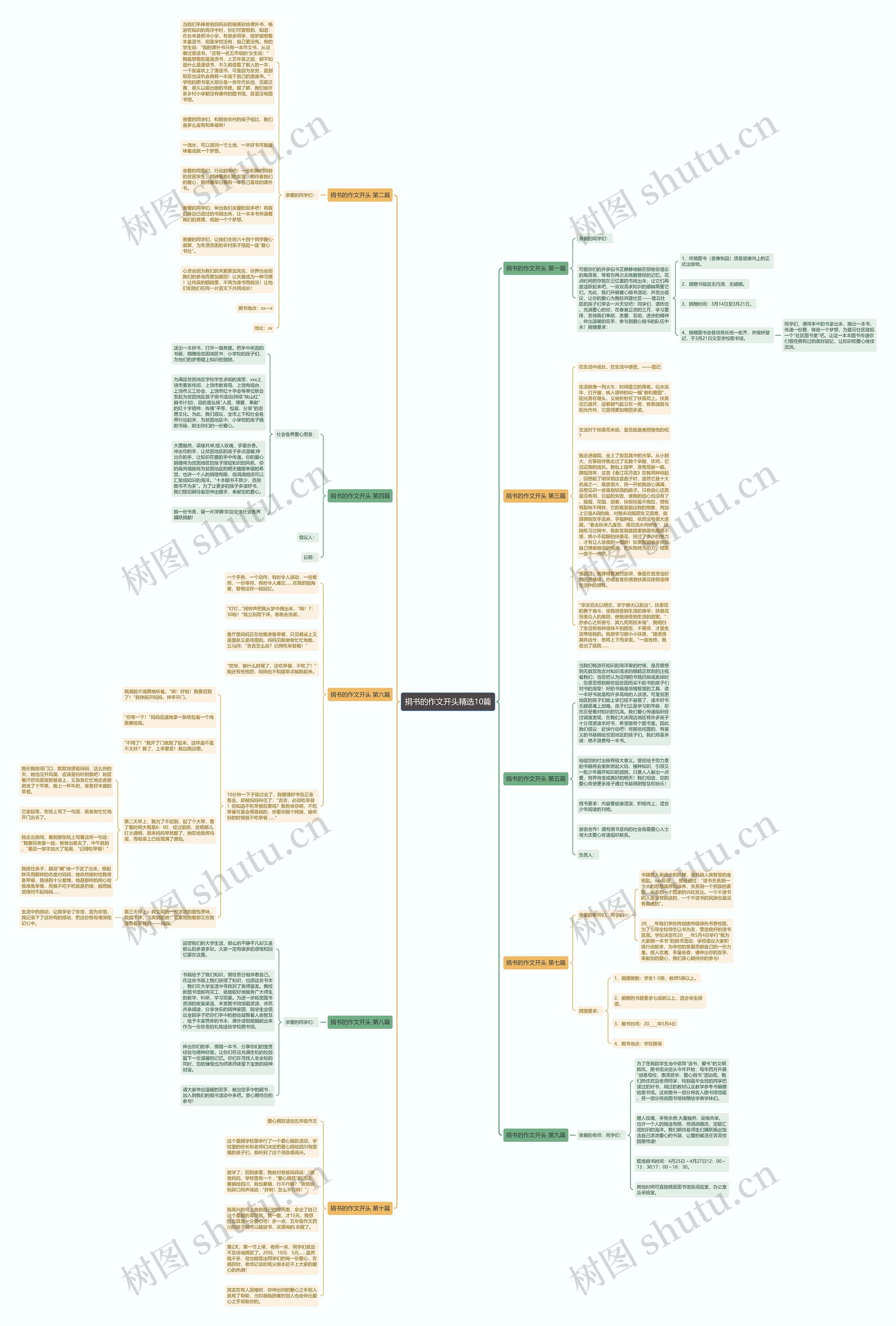 捐书的作文开头精选10篇思维导图