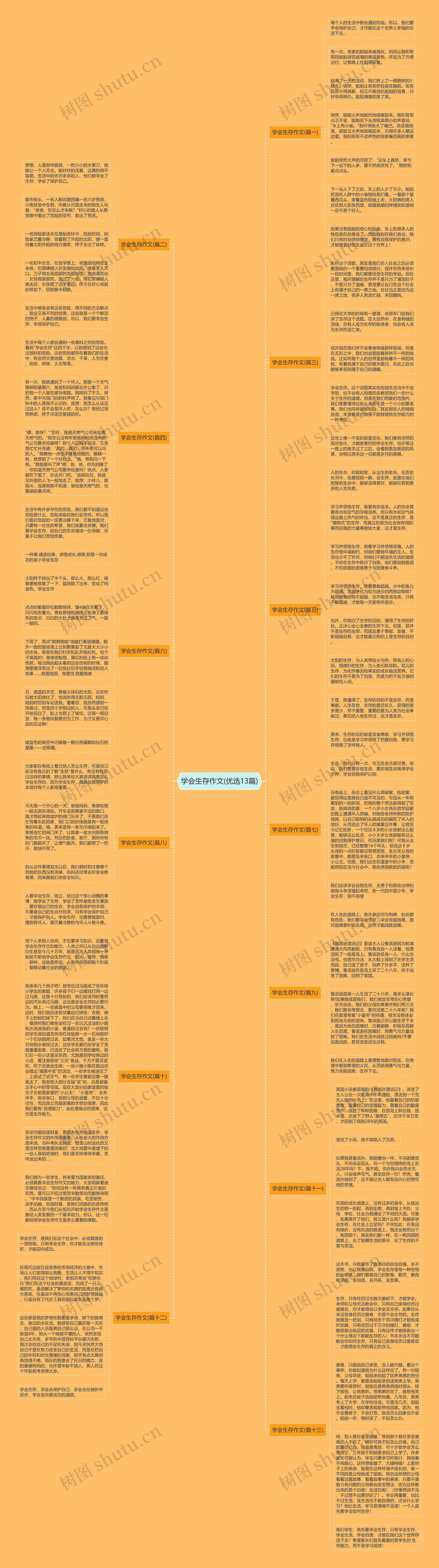 学会生存作文(优选13篇)思维导图