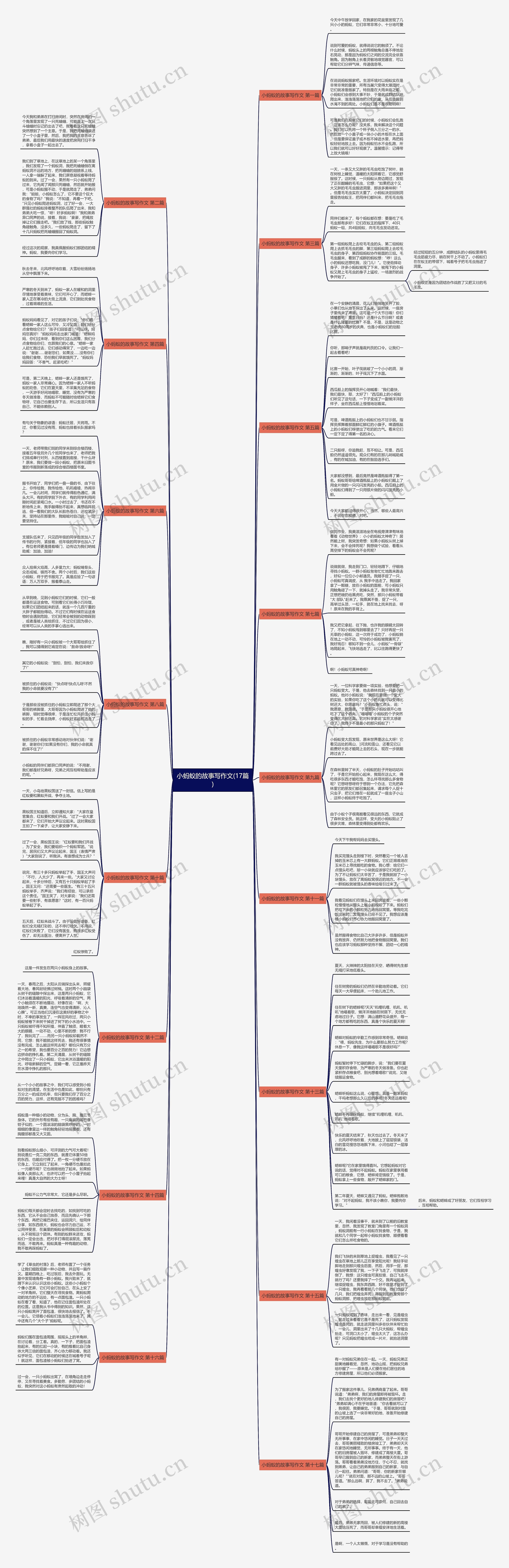 小蚂蚁的故事写作文(17篇)思维导图