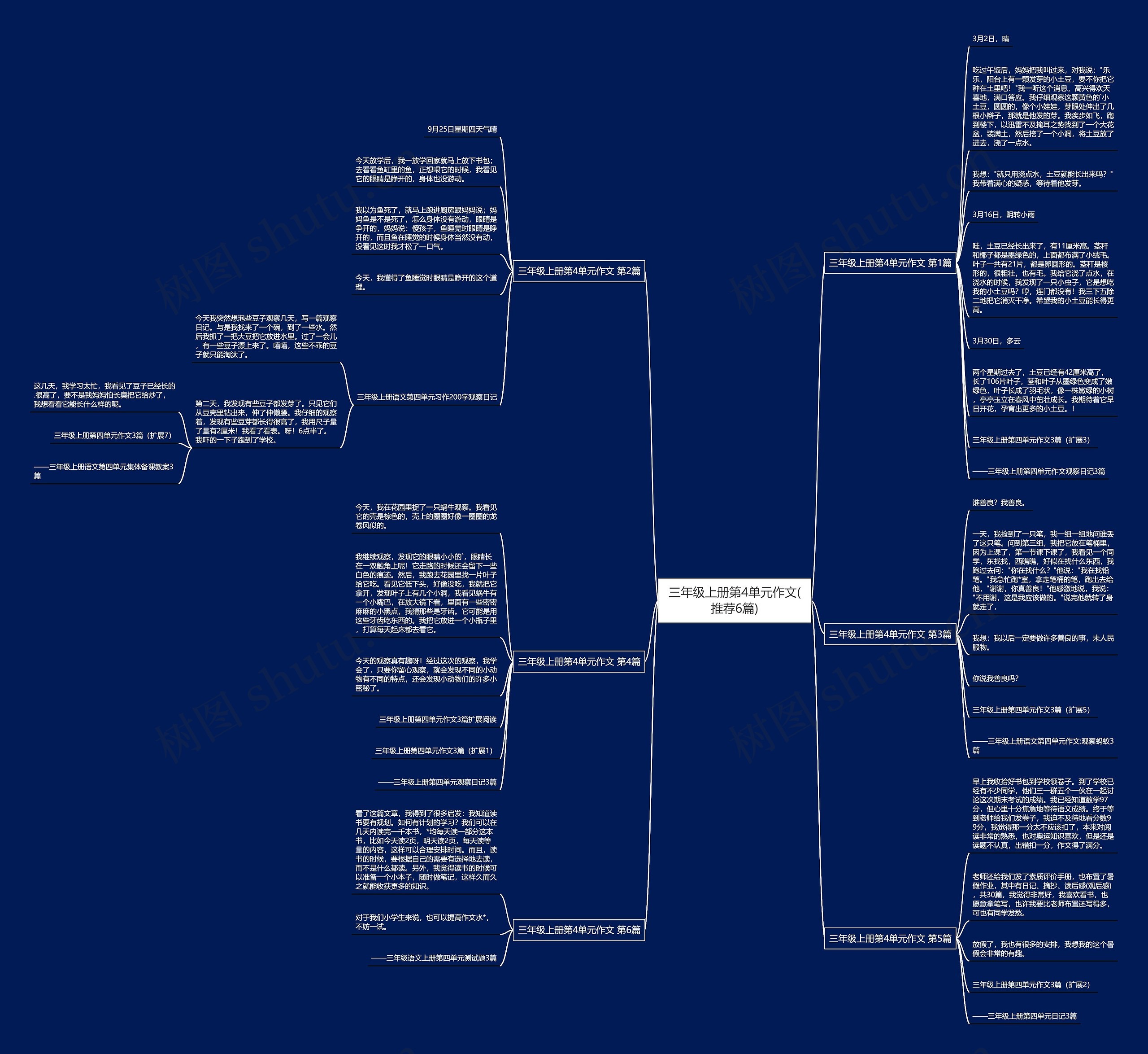 三年级上册第4单元作文(推荐6篇) 三年级上册第4单元作文(推荐6篇)