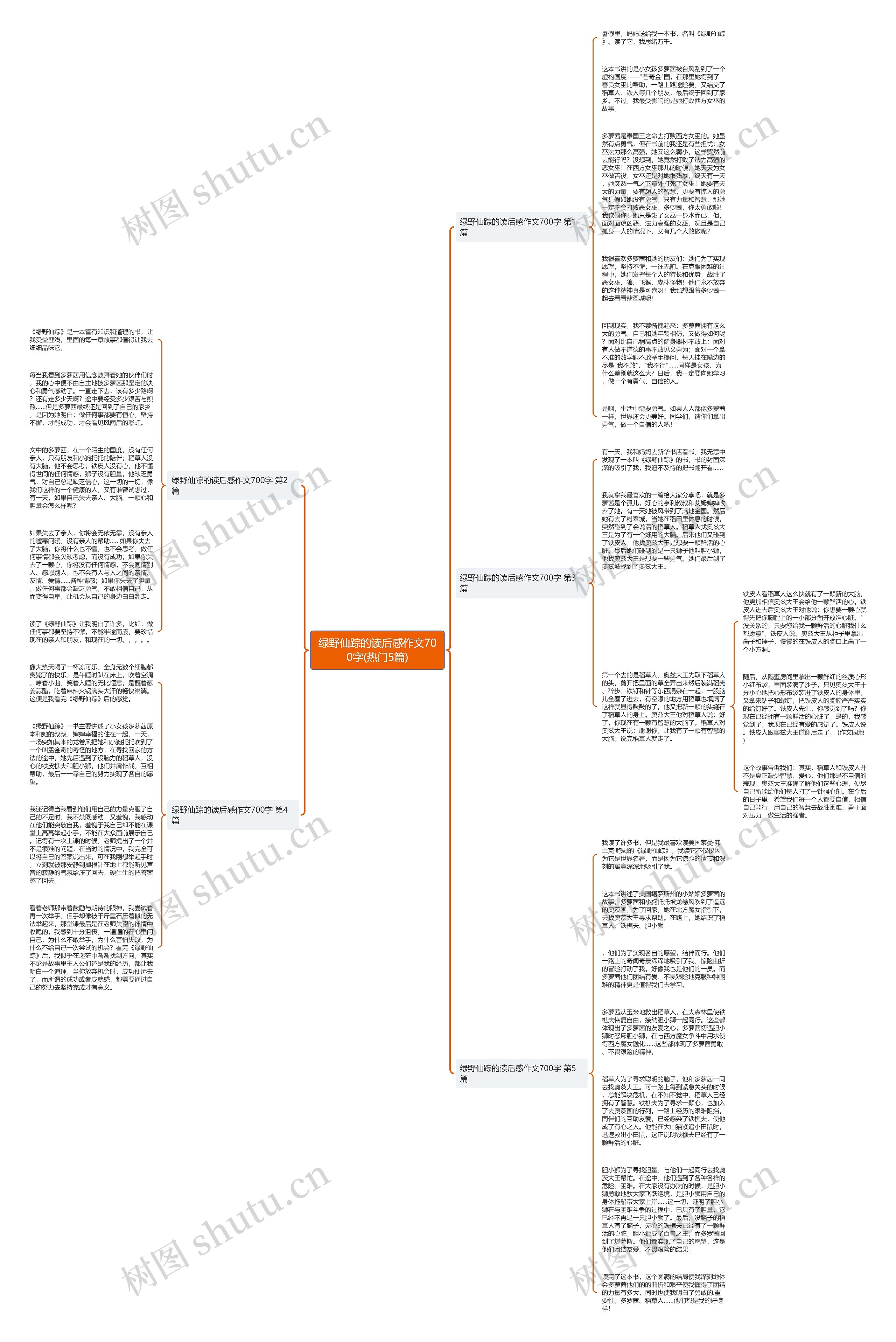 绿野仙踪的读后感作文700字(热门5篇)思维导图