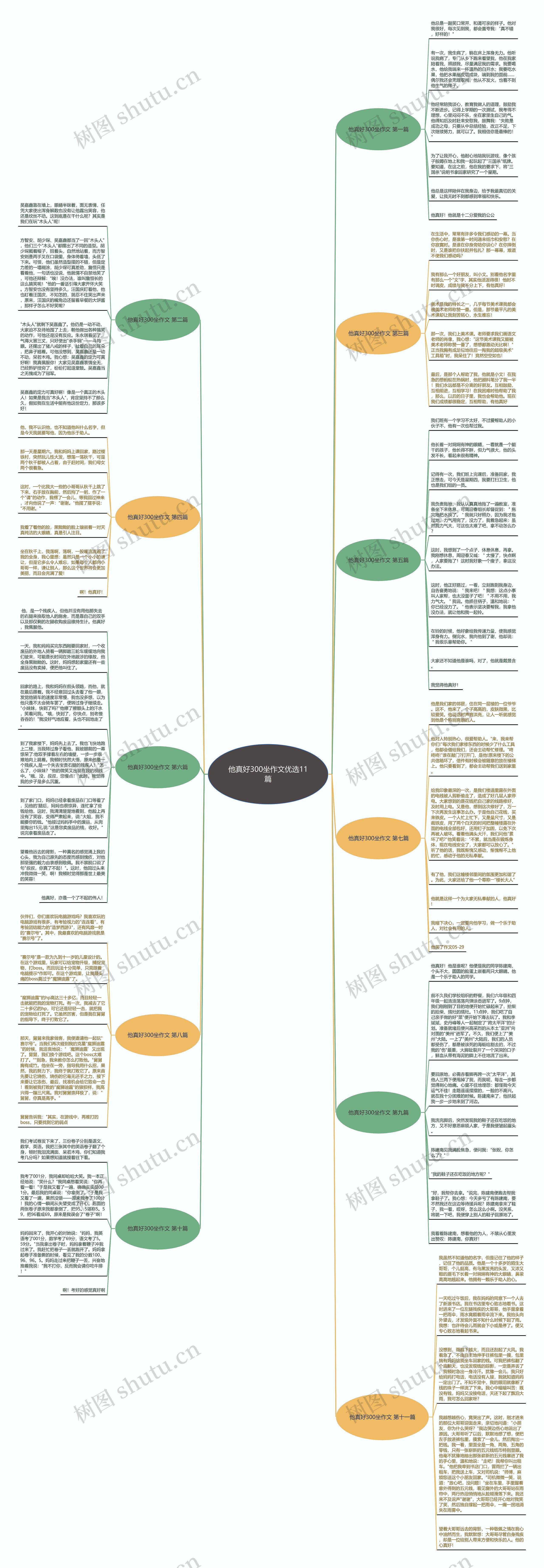 他真好300坐作文优选11篇思维导图