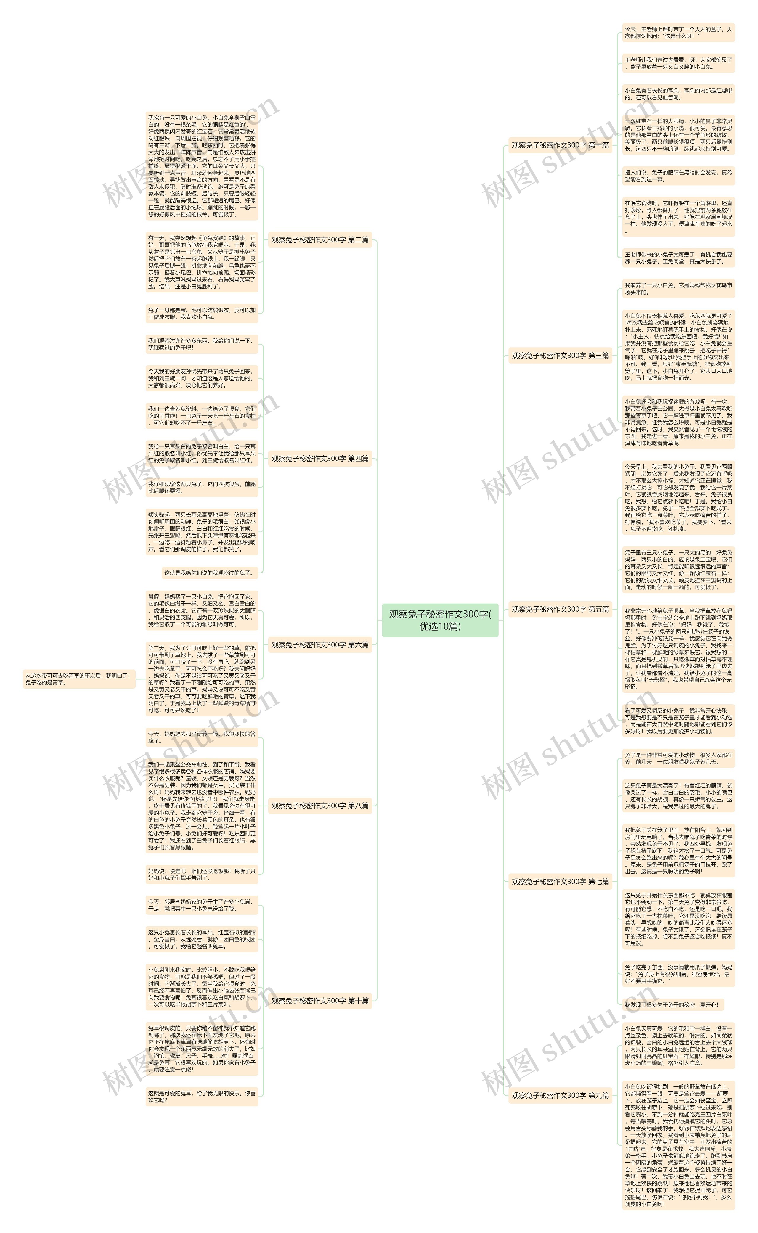 观察兔子秘密作文300字(优选10篇)思维导图