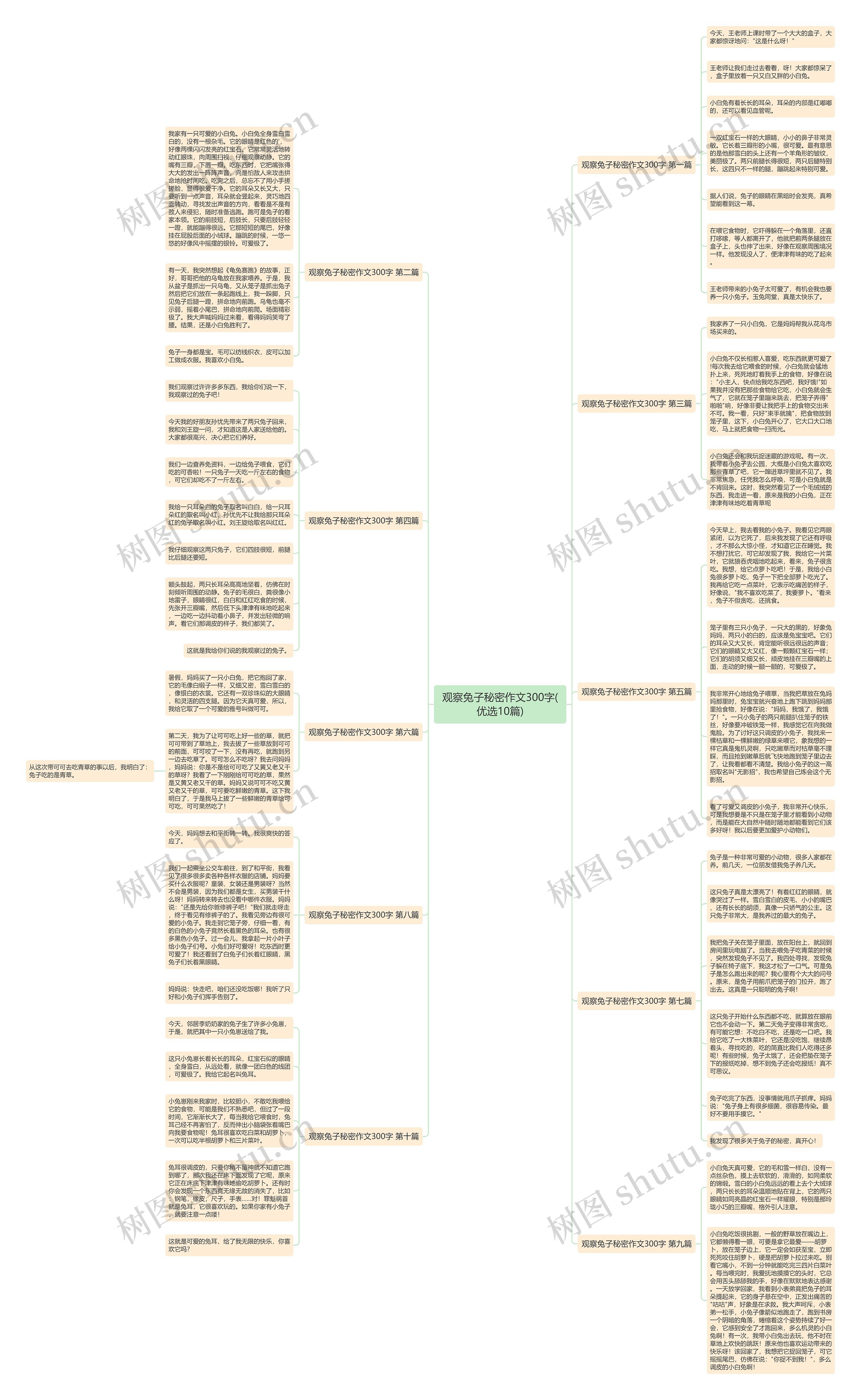观察兔子秘密作文300字(优选10篇) 观察兔子秘密作文300字(优选10篇)