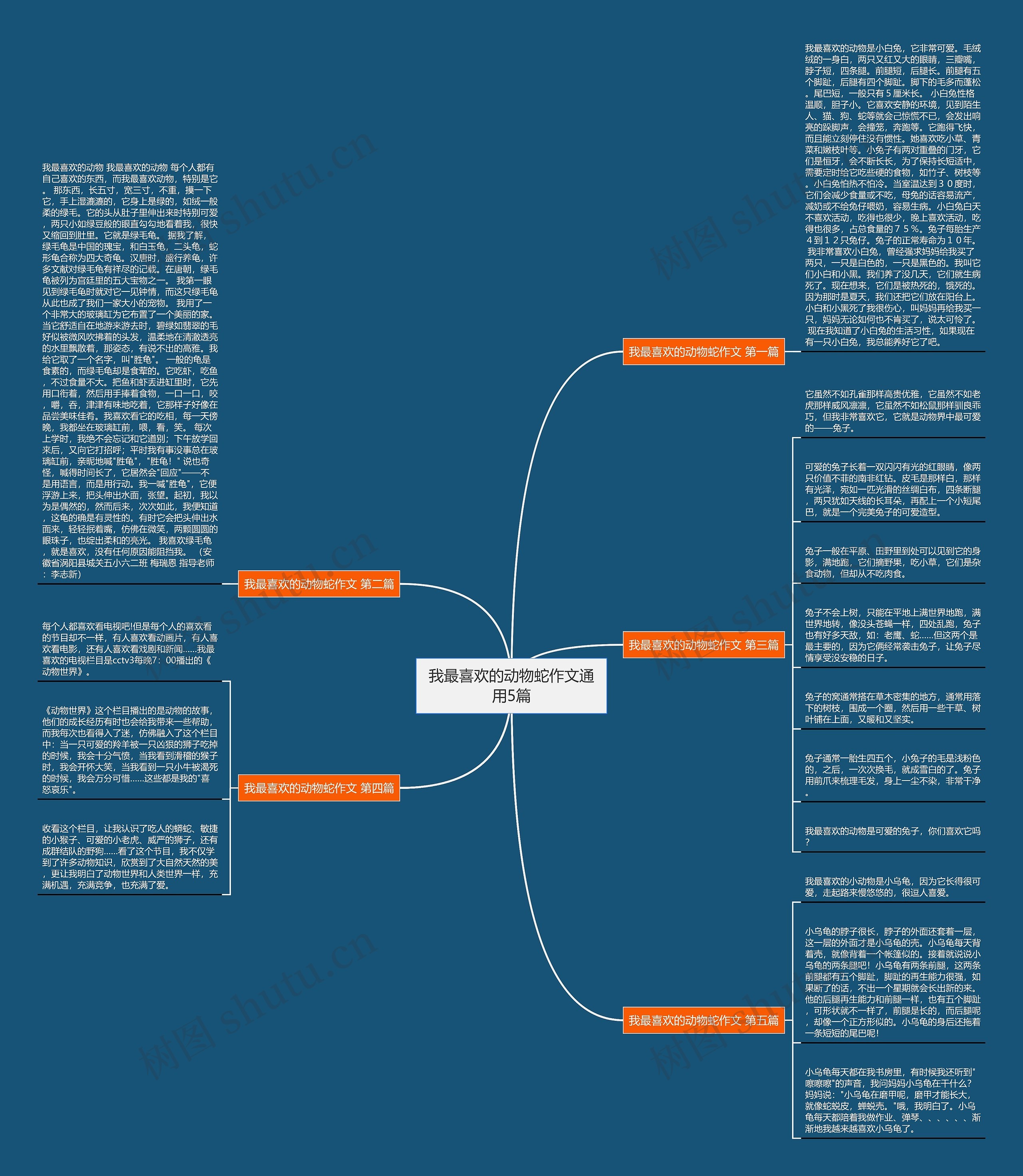 我最喜欢的动物蛇作文通用5篇思维导图