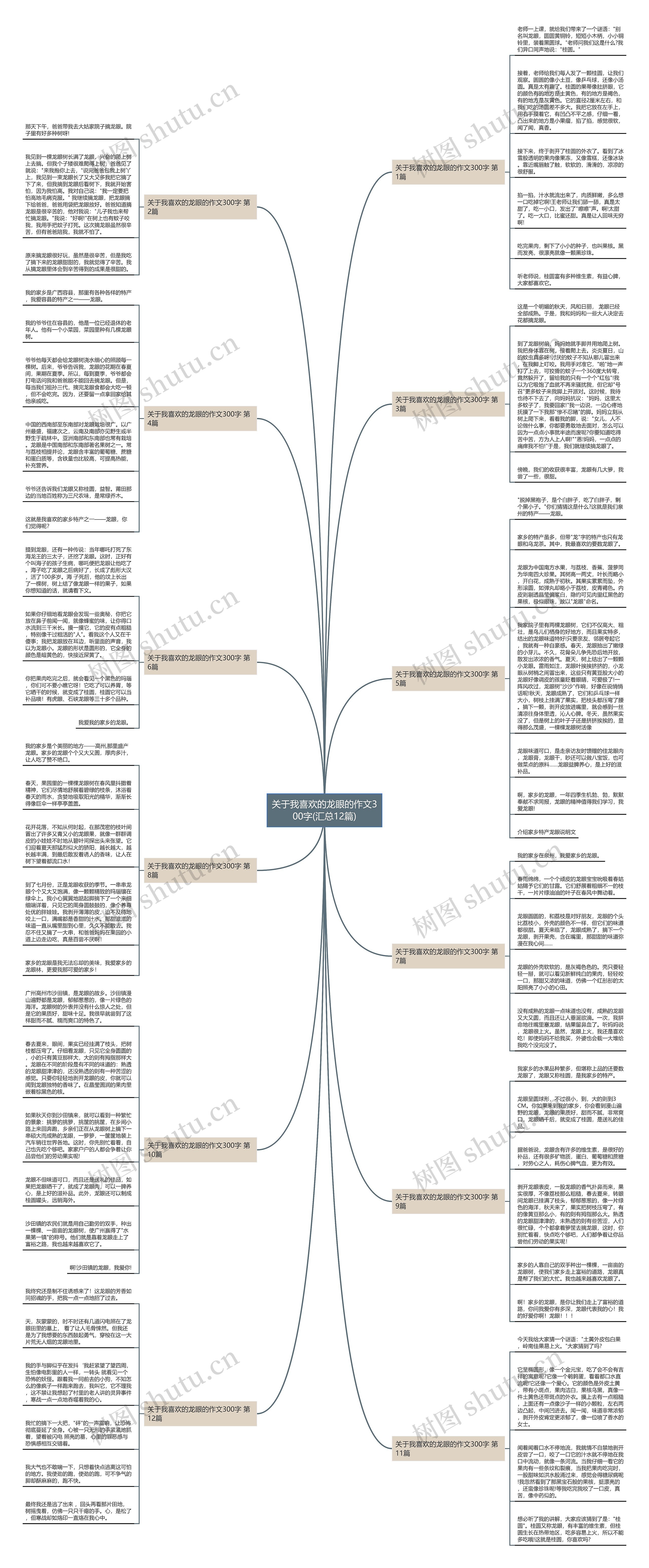 关于我喜欢的龙眼的作文300字(汇总12篇)思维导图