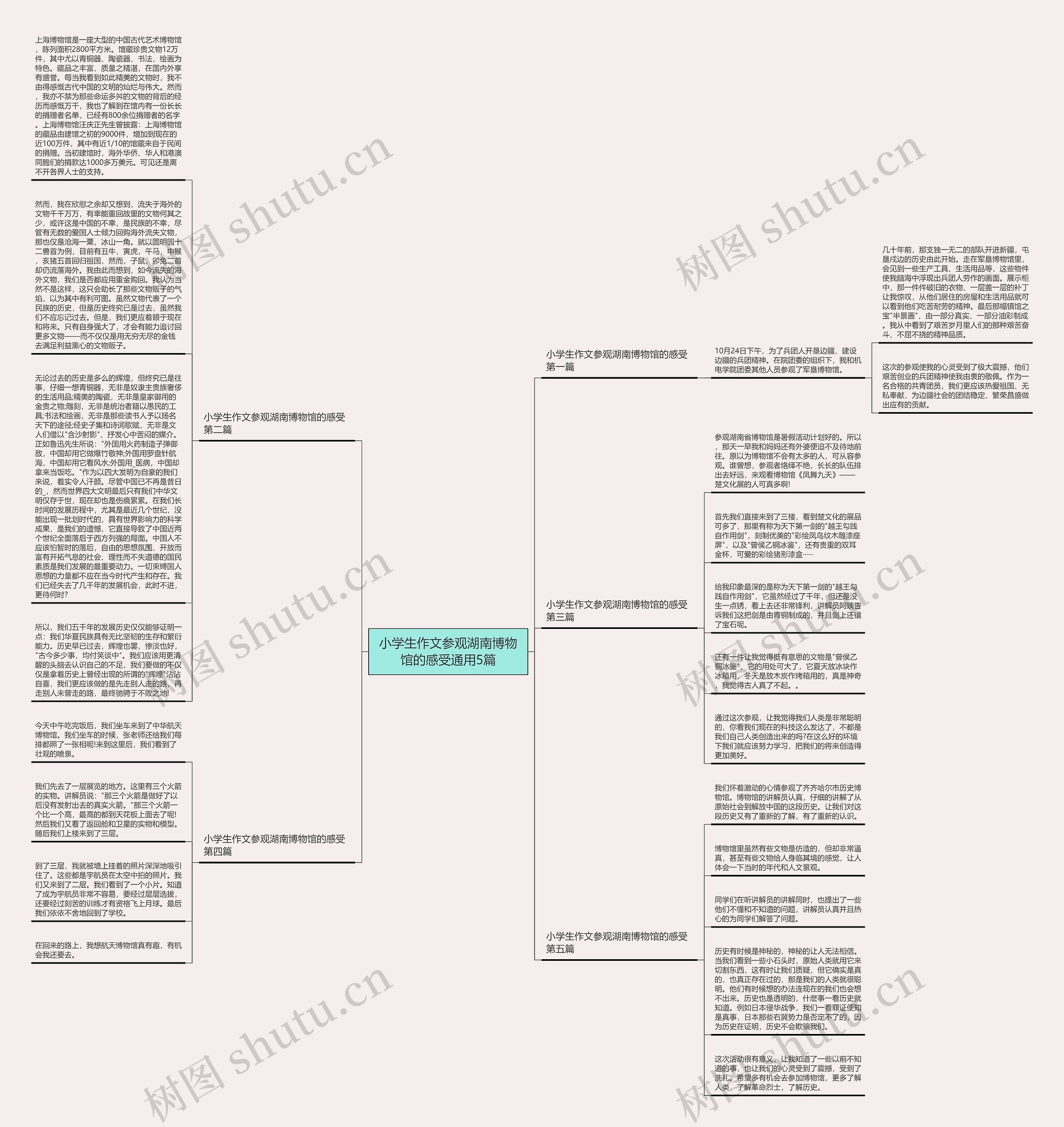 小学生作文参观湖南博物馆的感受通用5篇思维导图
