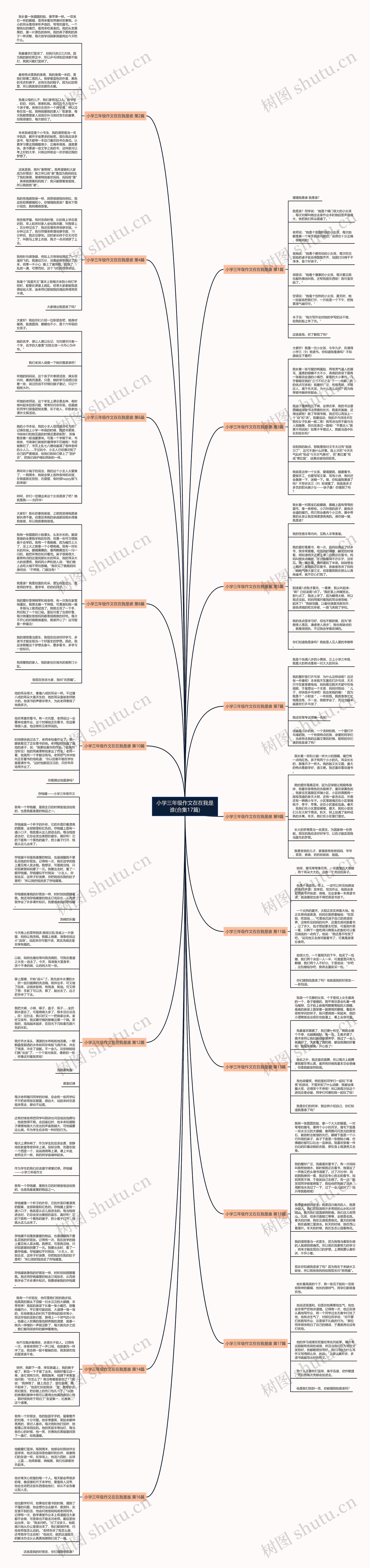 小学三年级作文在在我是谁(合集17篇)思维导图