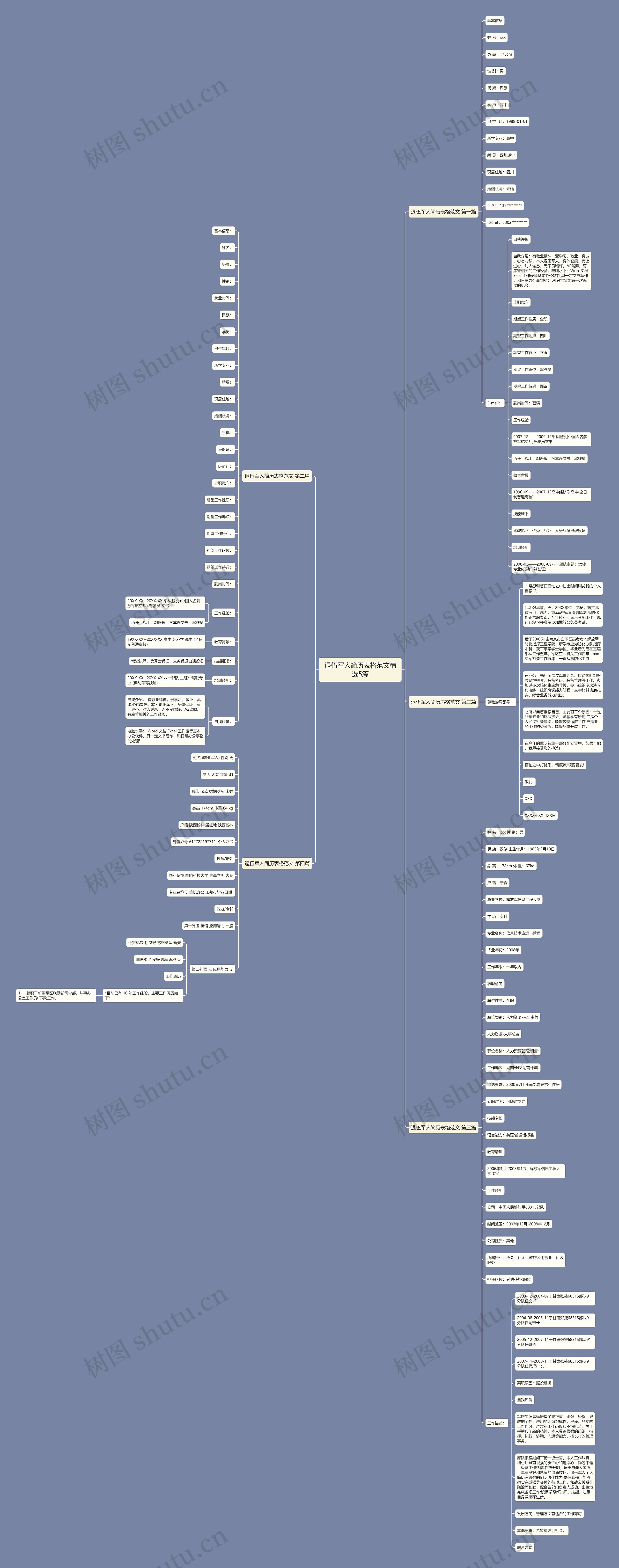 退伍军人简历表格范文精选5篇思维导图