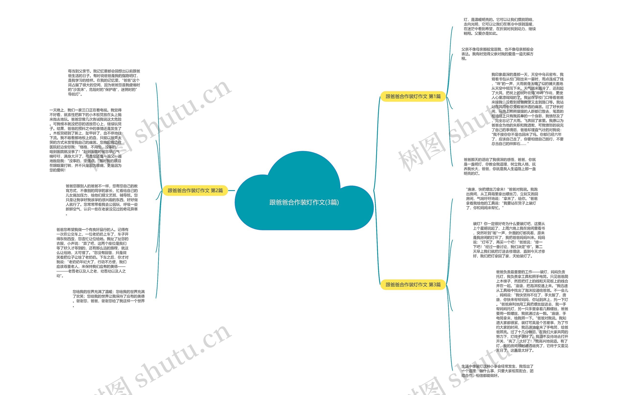 跟爸爸合作装灯作文(3篇)思维导图