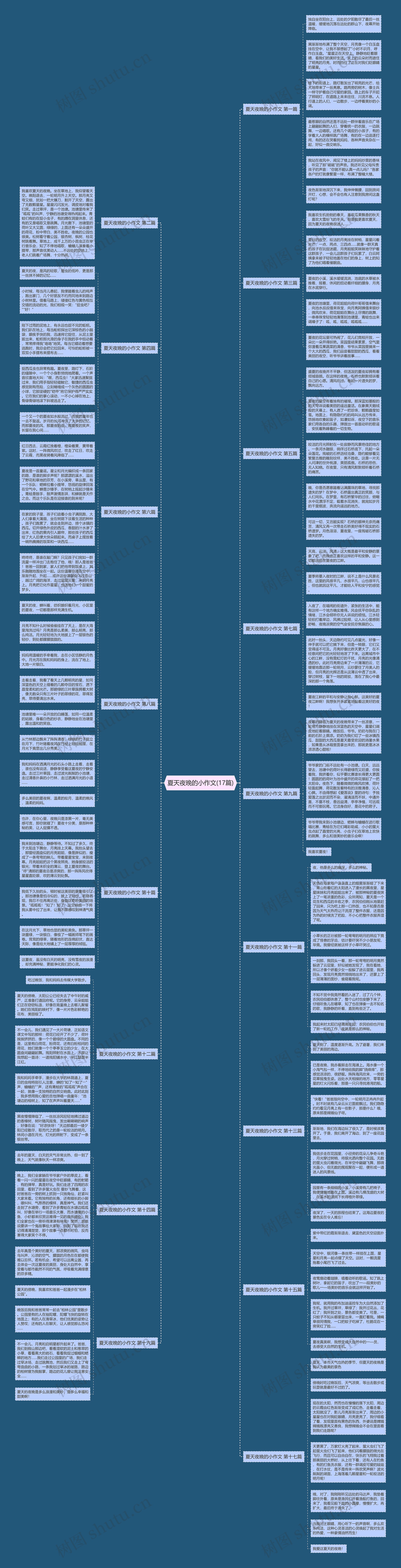夏天夜晚的小作文(17篇)思维导图