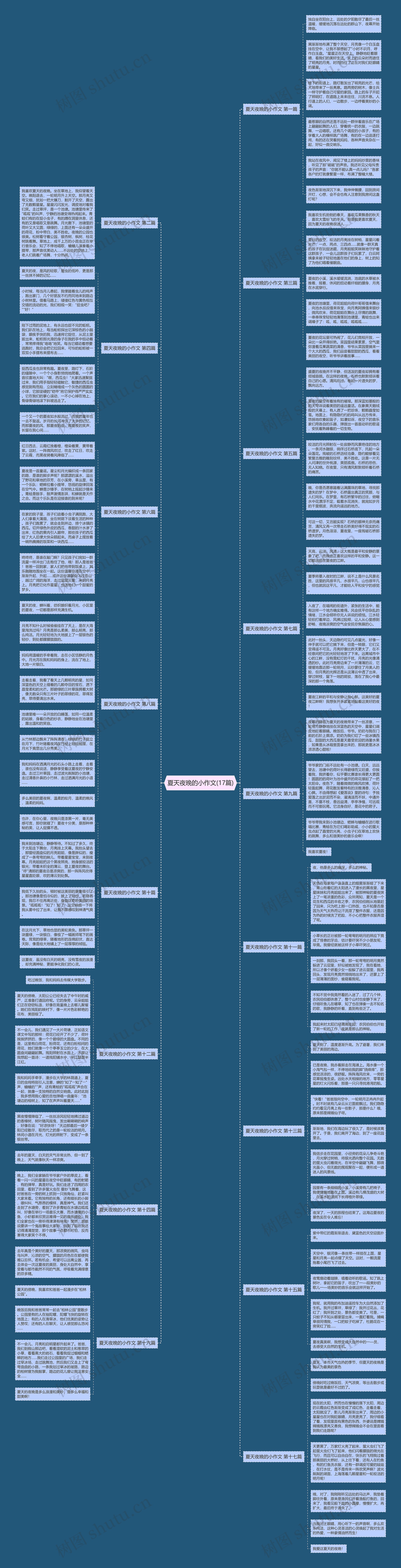 夏天夜晚的小作文(17篇) 夏天夜晚的小作文(17篇)