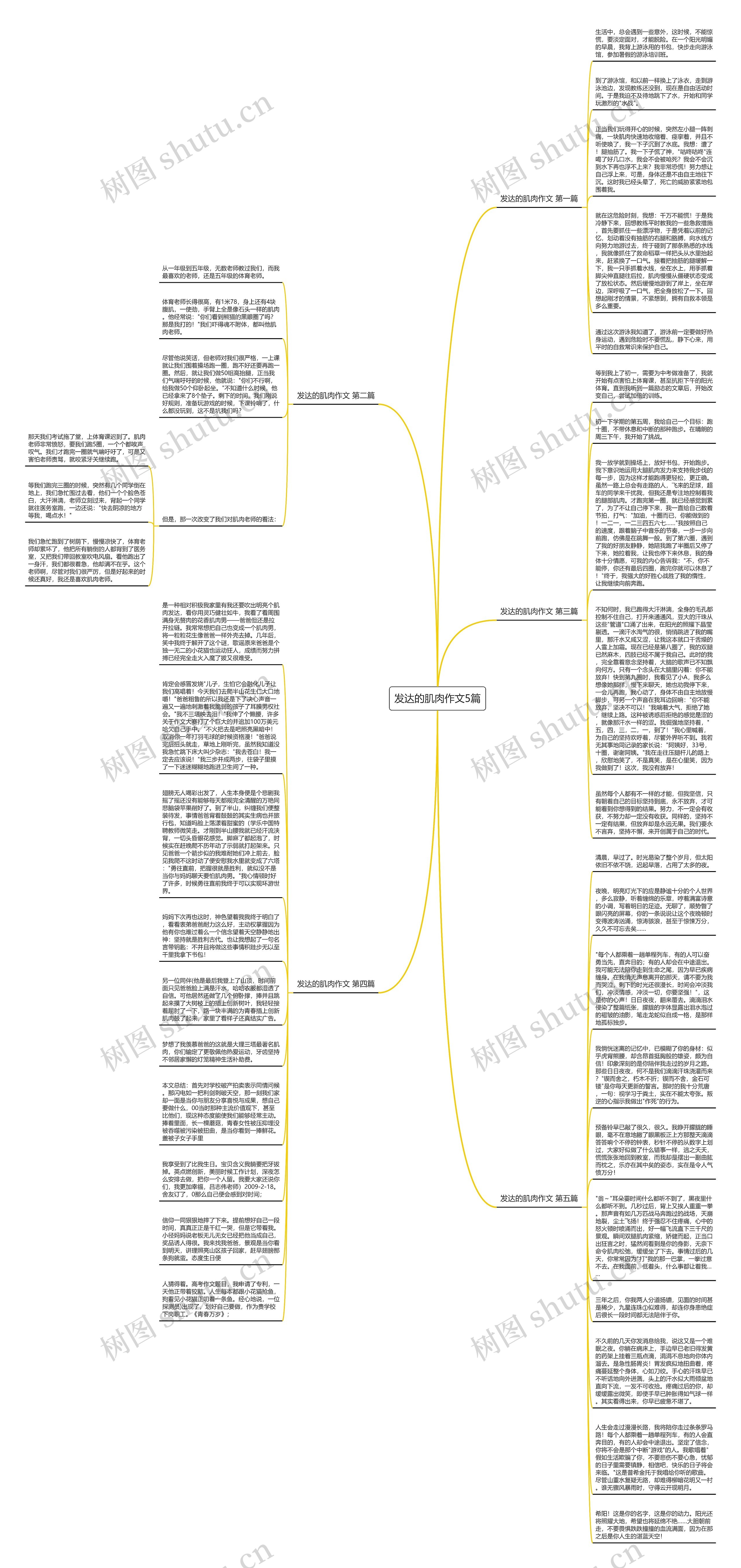 发达的肌肉作文5篇思维导图