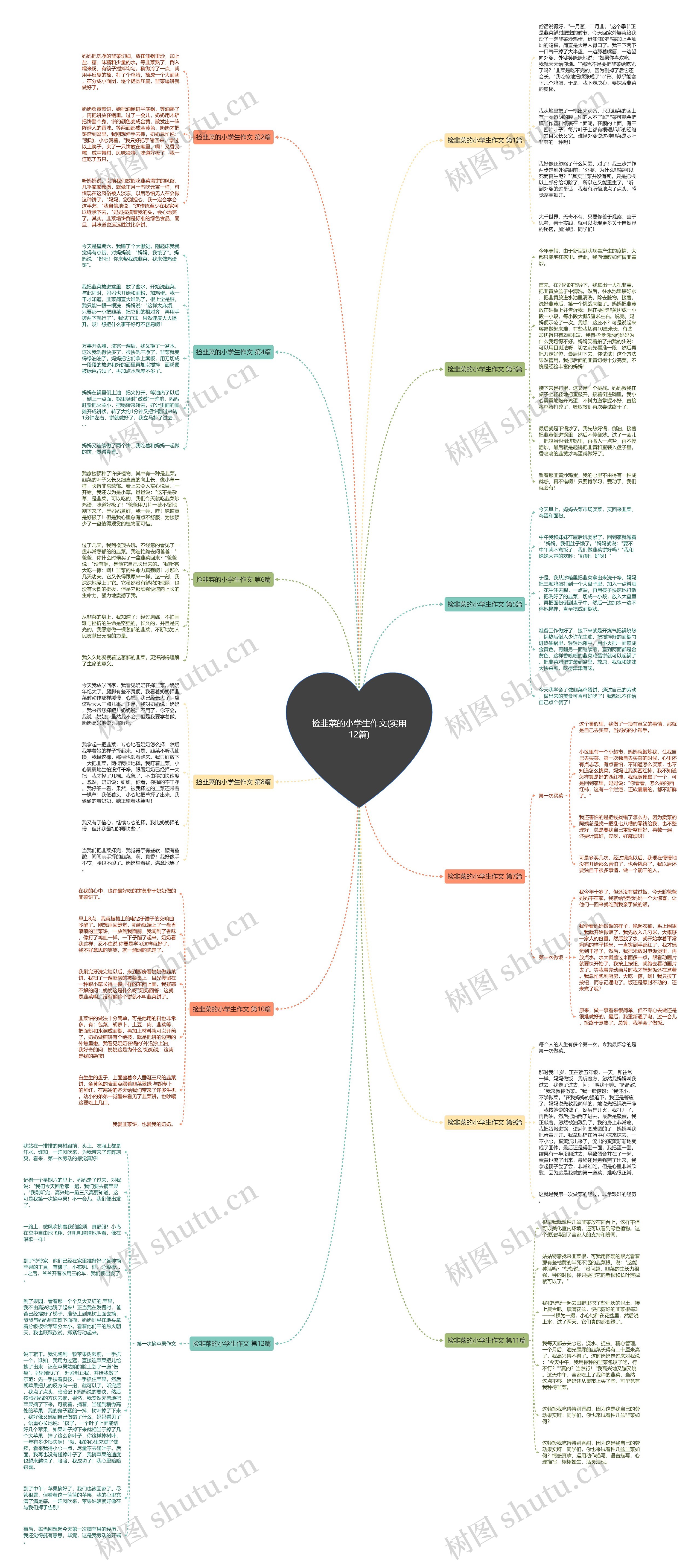 捡韭菜的小学生作文(实用12篇)思维导图