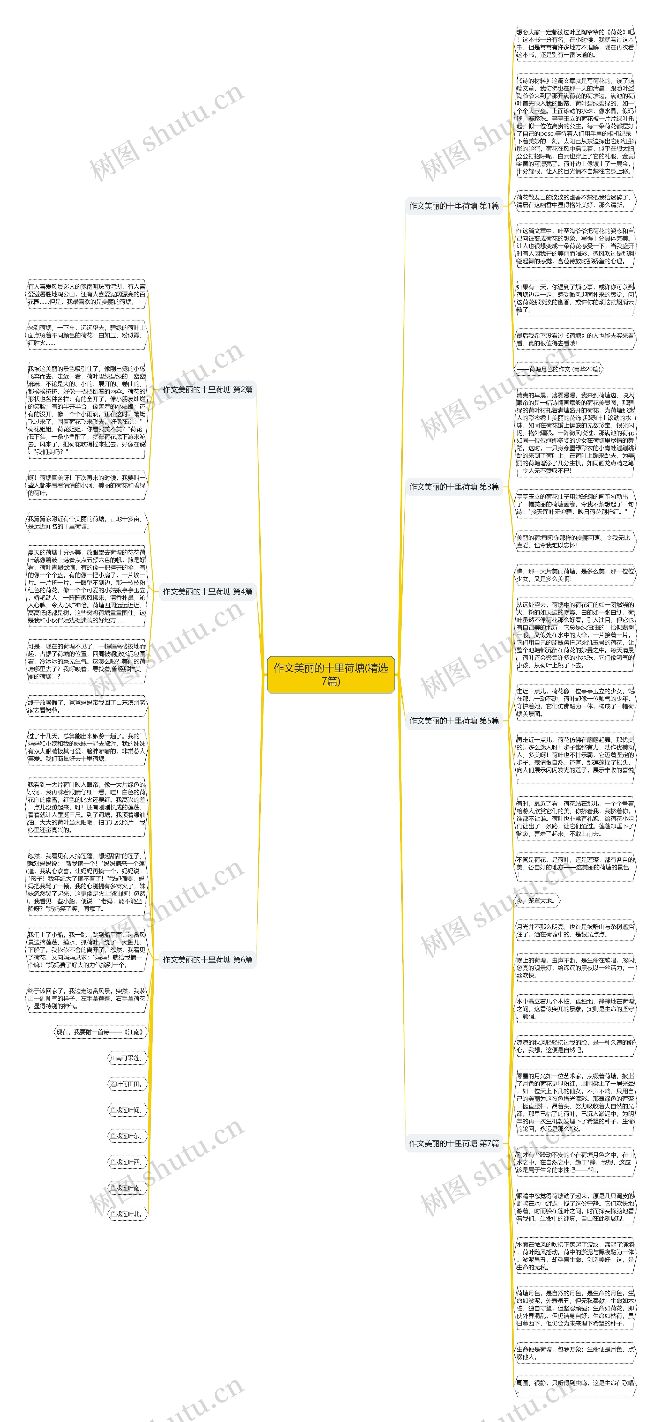作文美丽的十里荷塘(精选7篇)思维导图