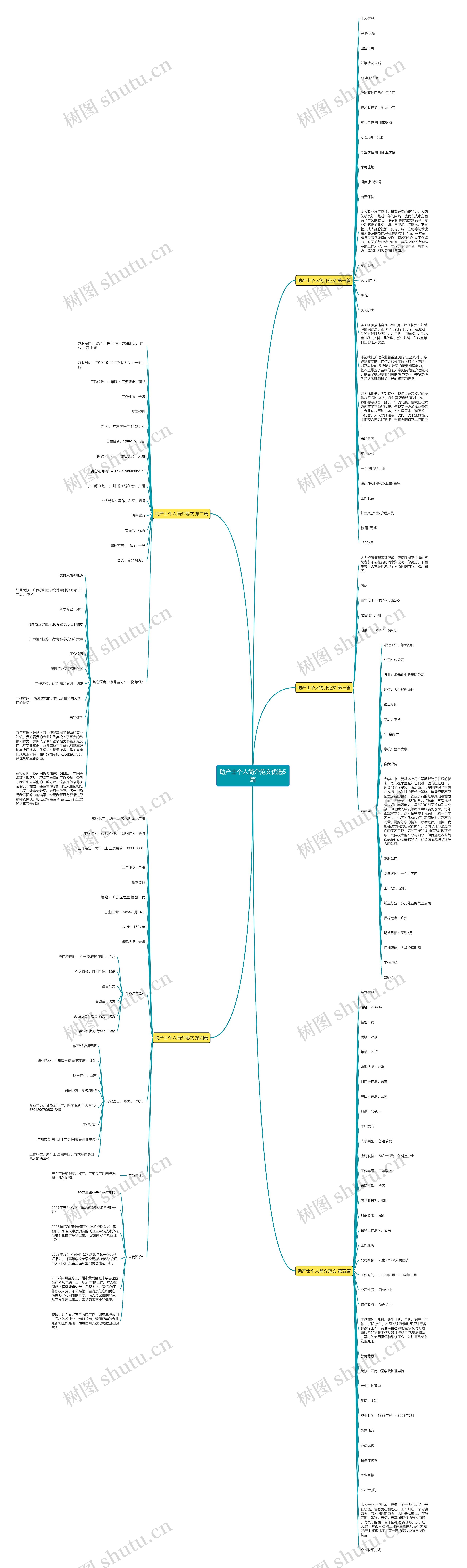 助产士个人简介范文优选5篇思维导图