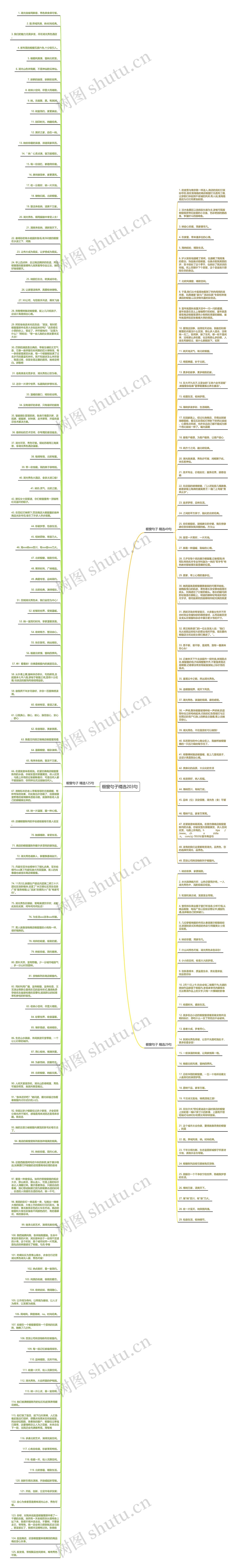 橱窗句子精选203句思维导图