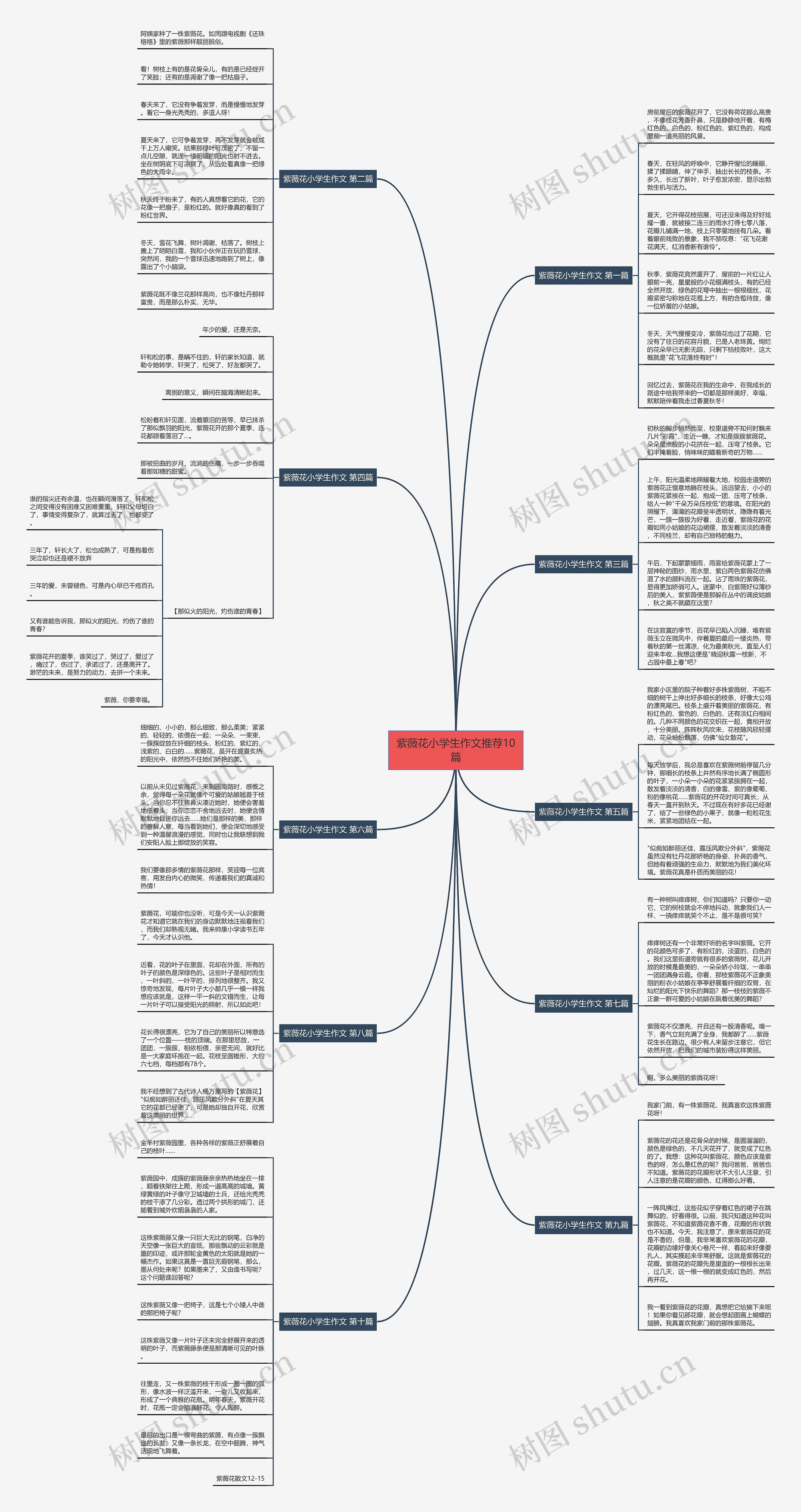 紫薇花小学生作文推荐10篇思维导图