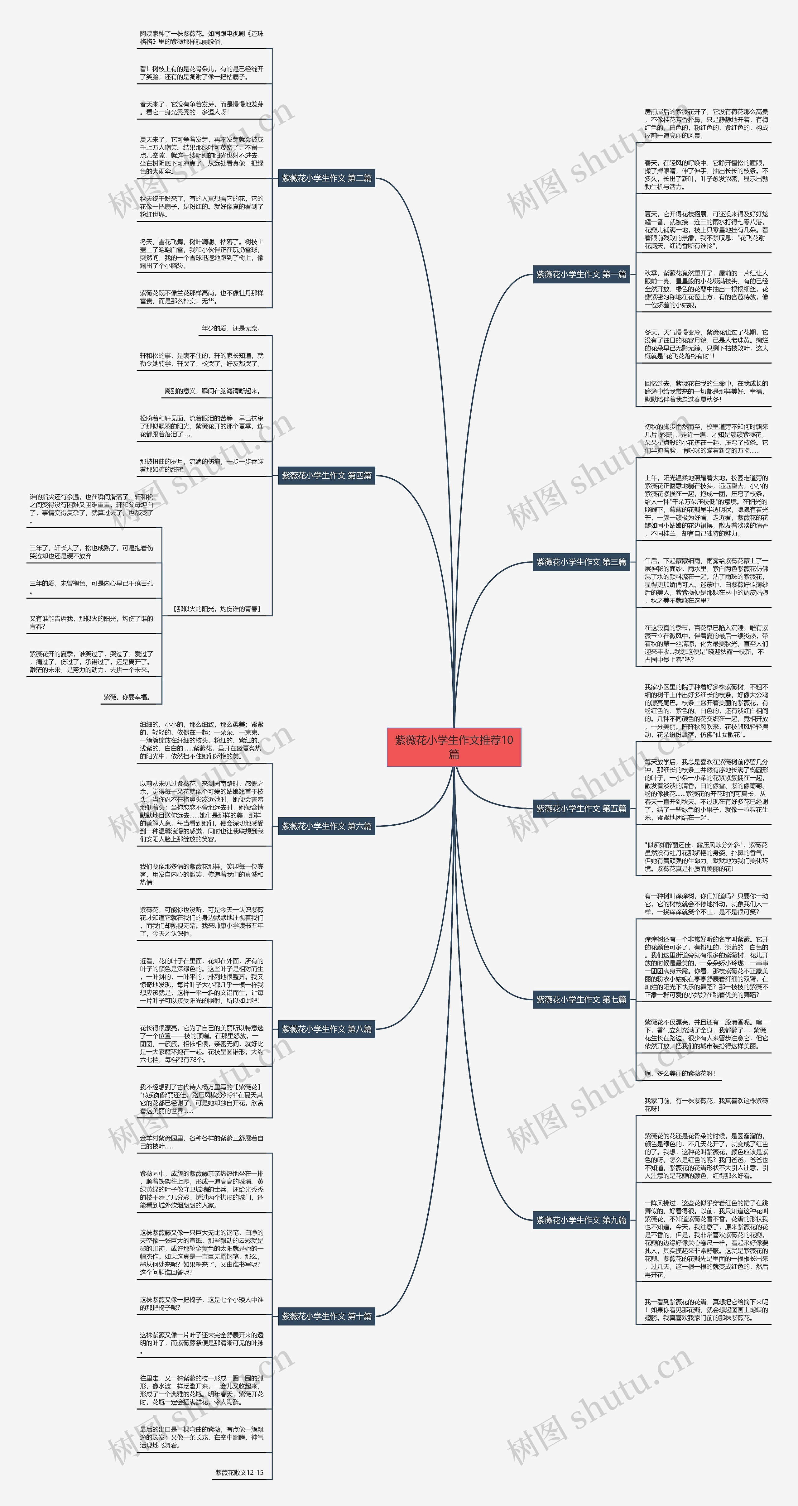 紫薇花小学生作文推荐10篇 紫薇花小学生作文推荐10篇