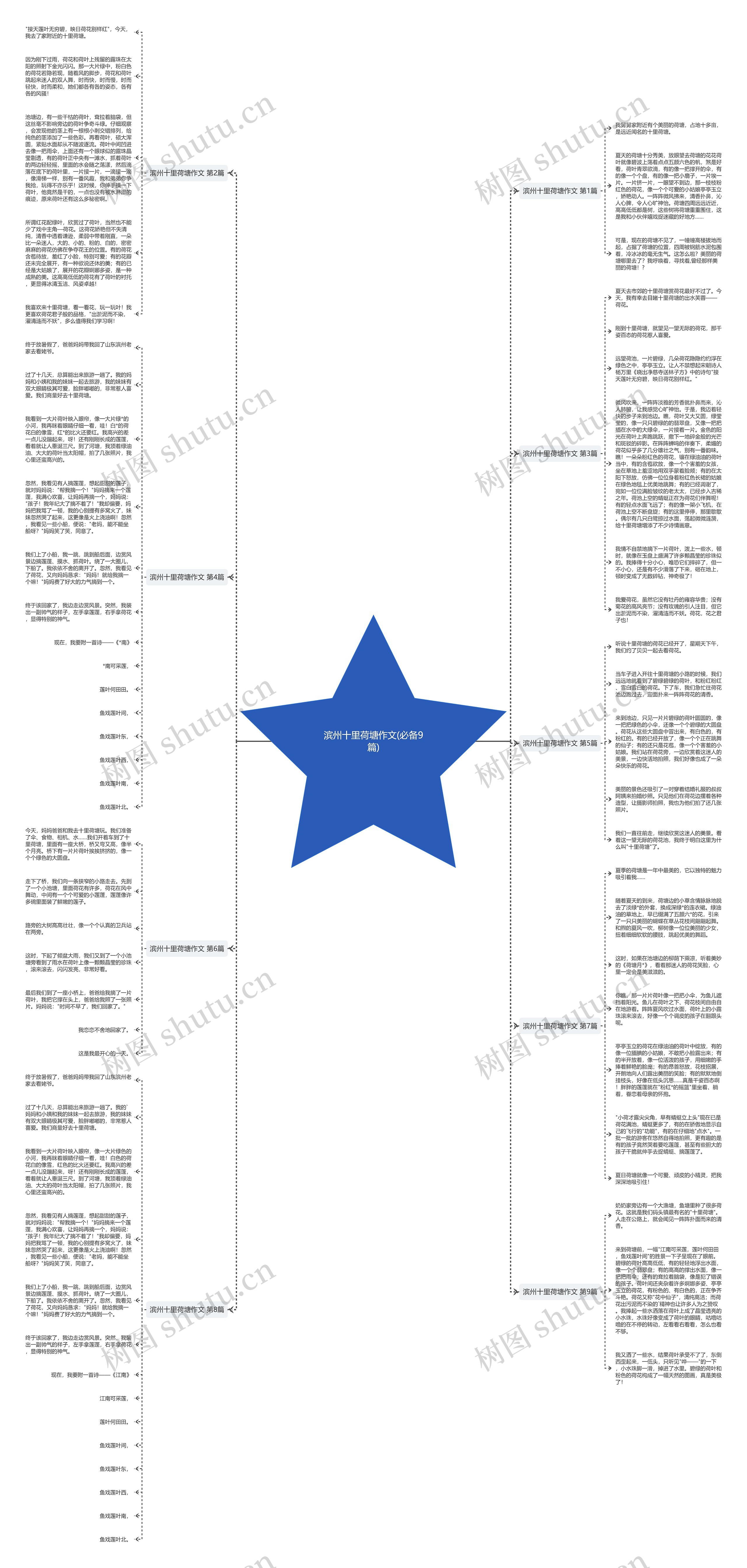 滨州十里荷塘作文(必备9篇)思维导图