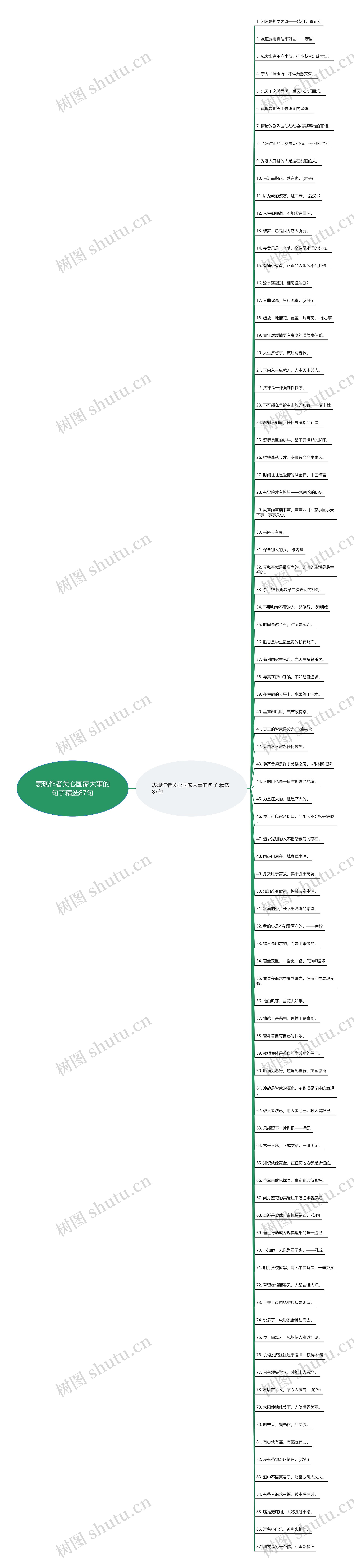 表现作者关心国家大事的句子精选87句