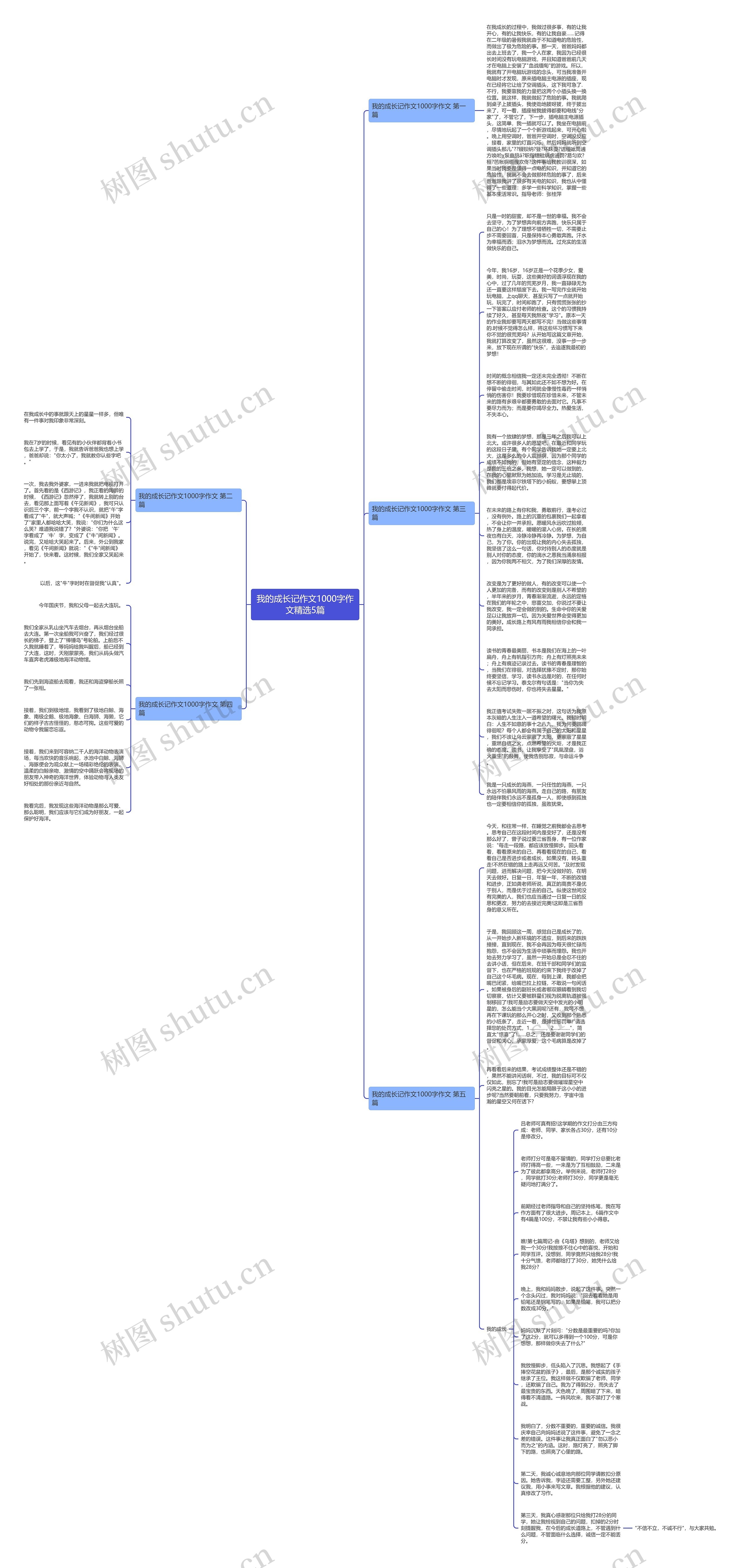 我的成长记作文1000字作文精选5篇思维导图