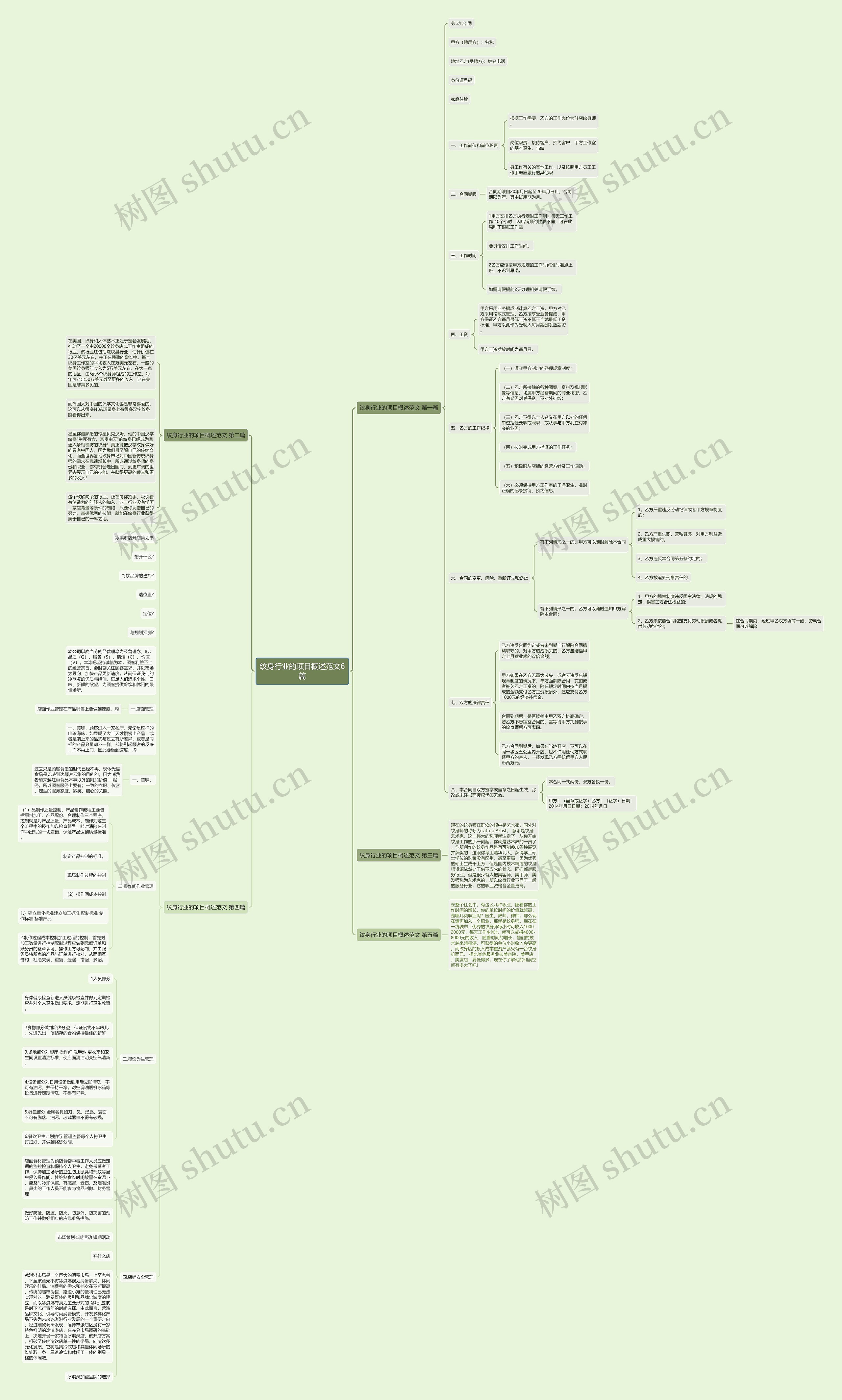 纹身行业的项目概述范文6篇思维导图