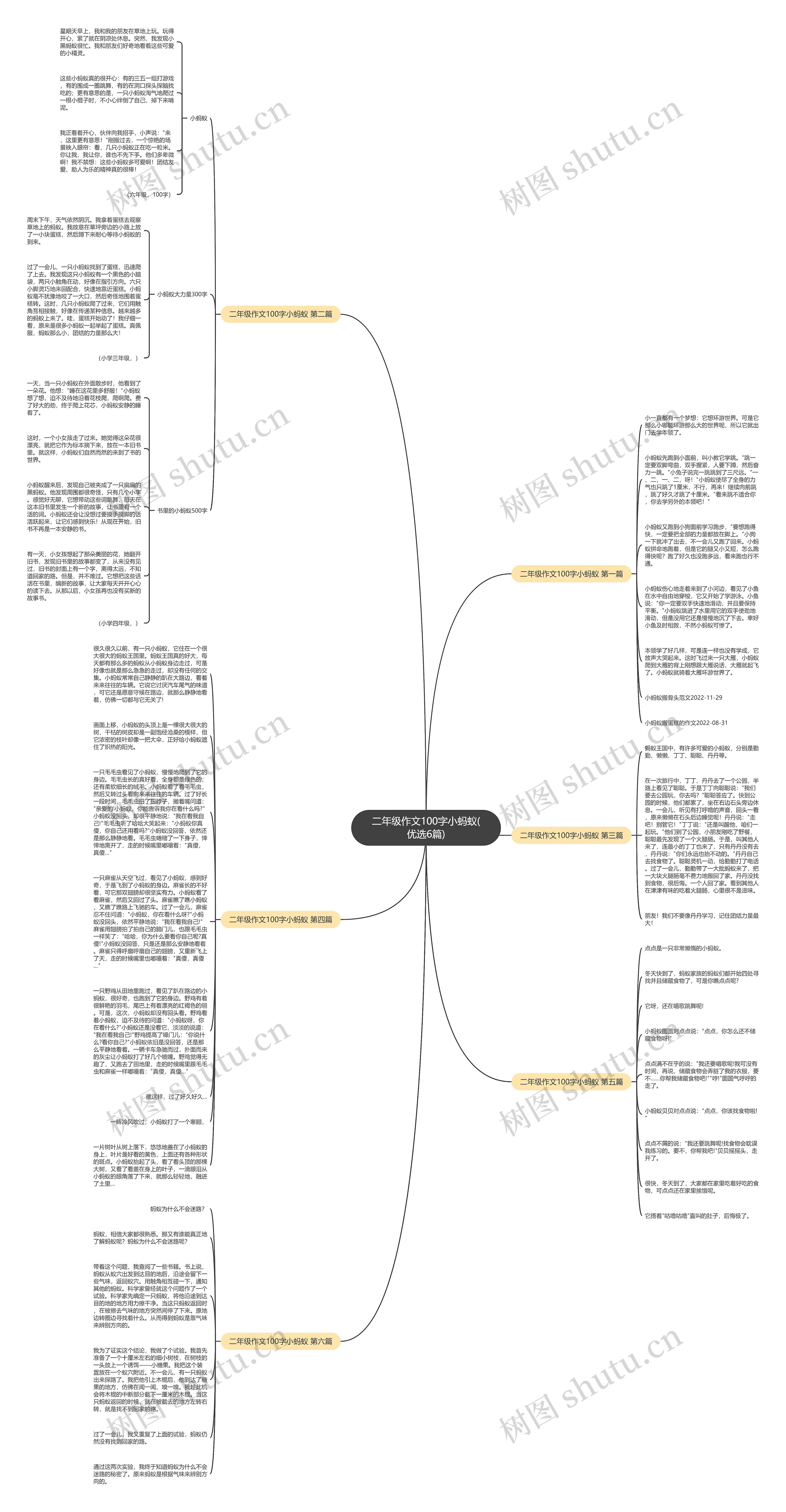 二年级作文100字小蚂蚁(优选6篇)思维导图