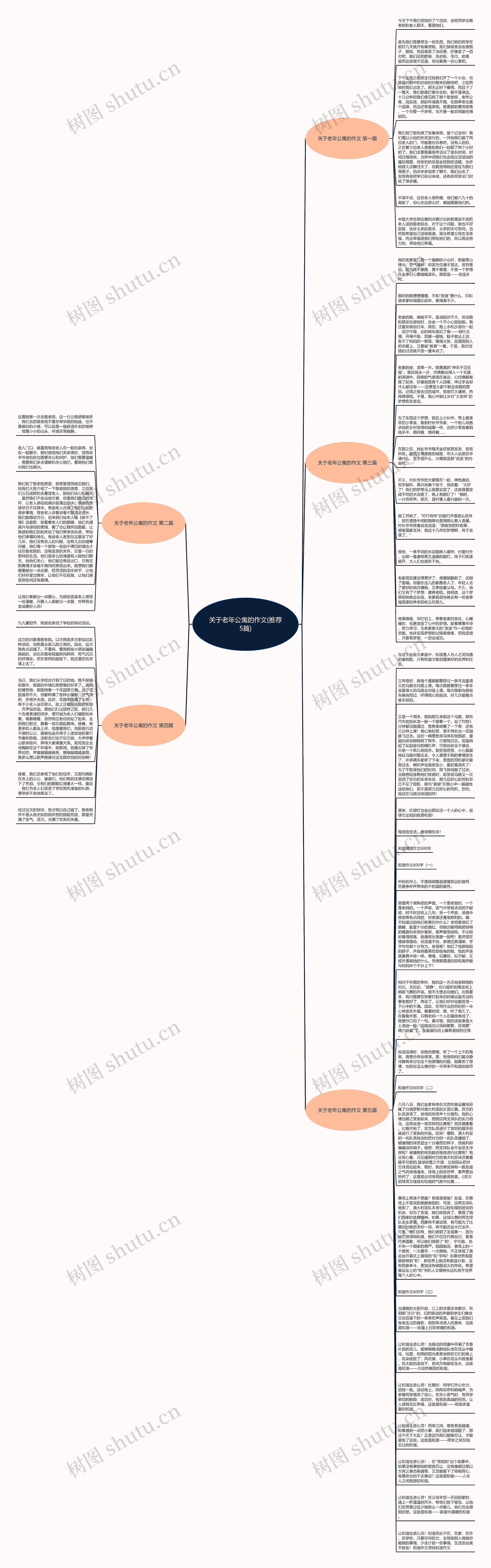 关于老年公寓的作文(推荐5篇)思维导图