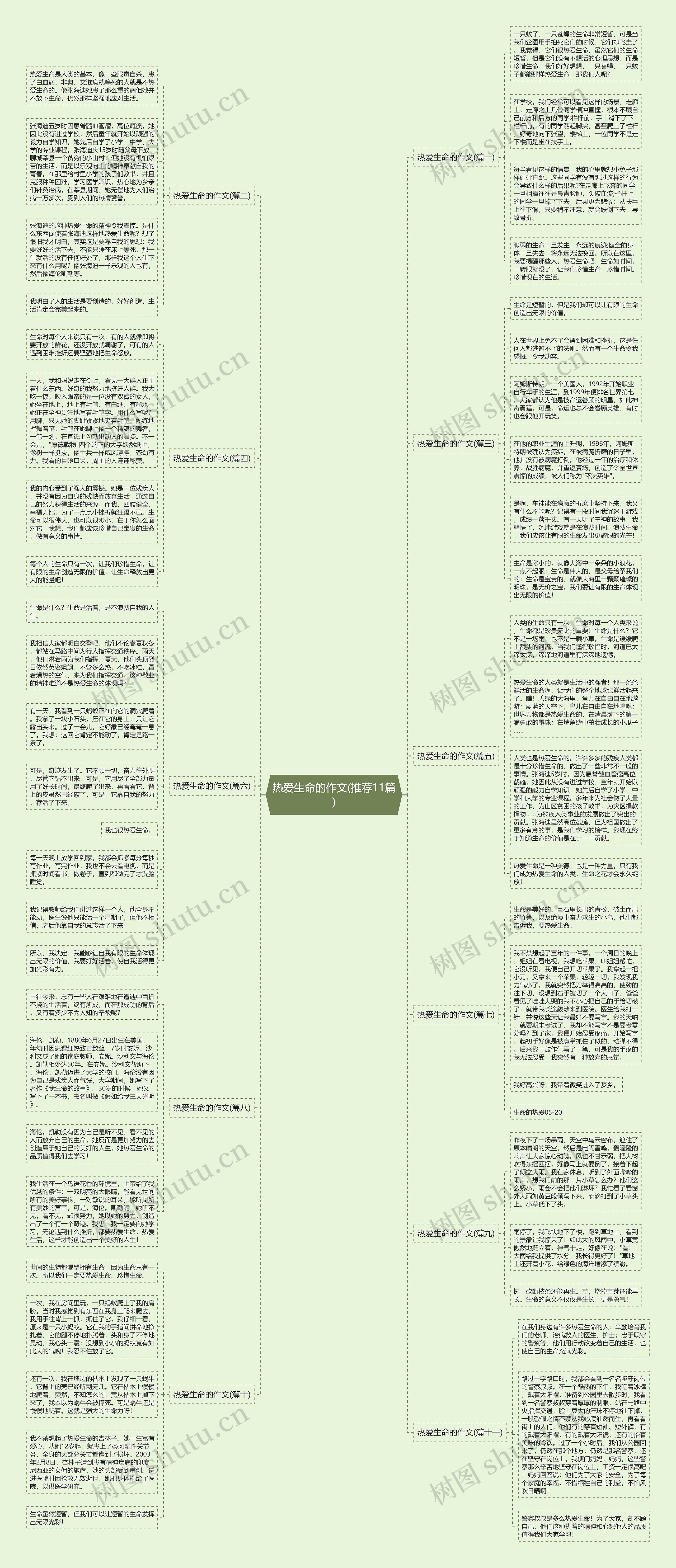 热爱生命的作文(推荐11篇)思维导图