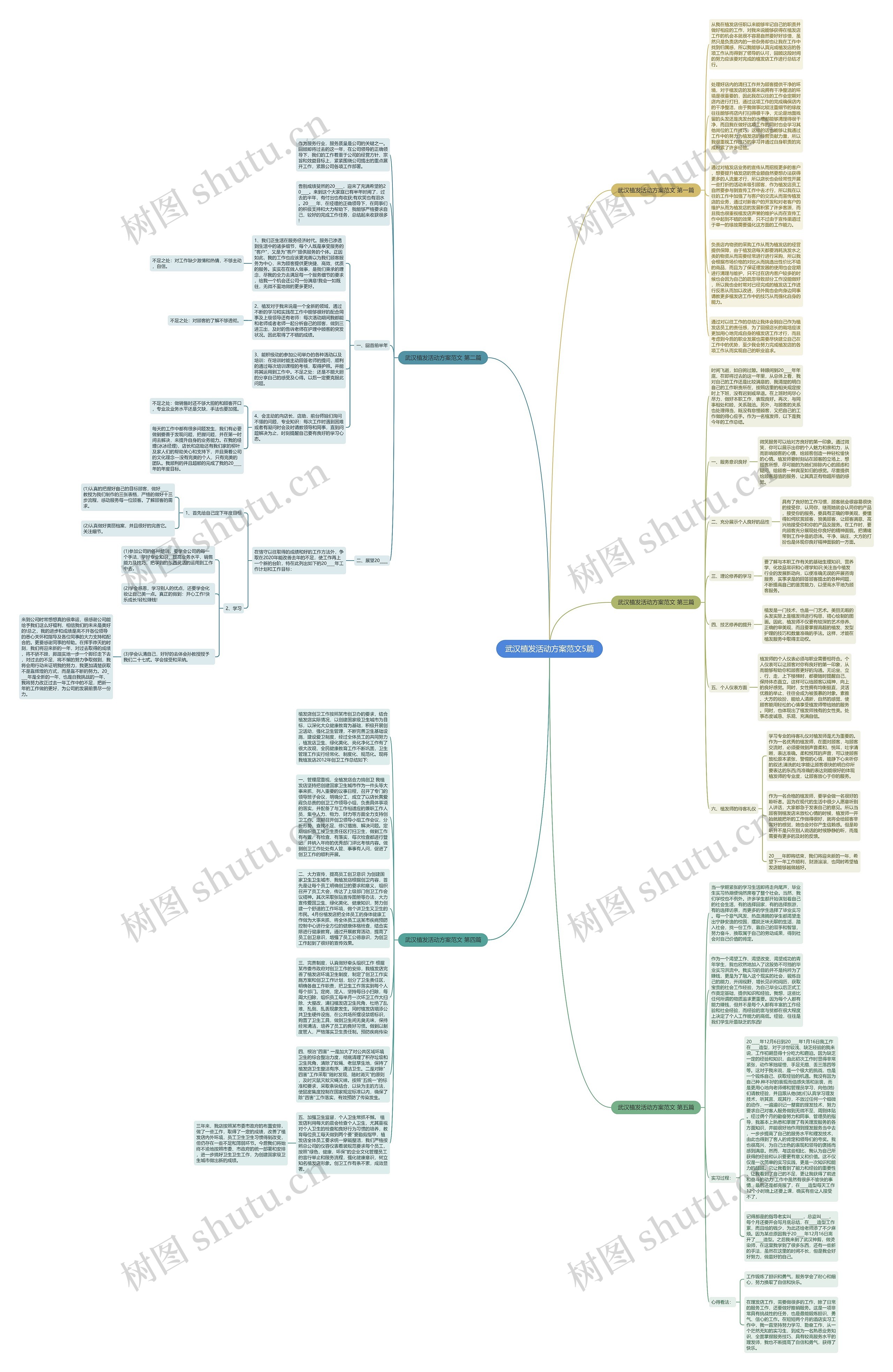 武汉植发活动方案范文5篇思维导图