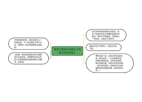 唯美文案短句网易云【网易云语录伤感】