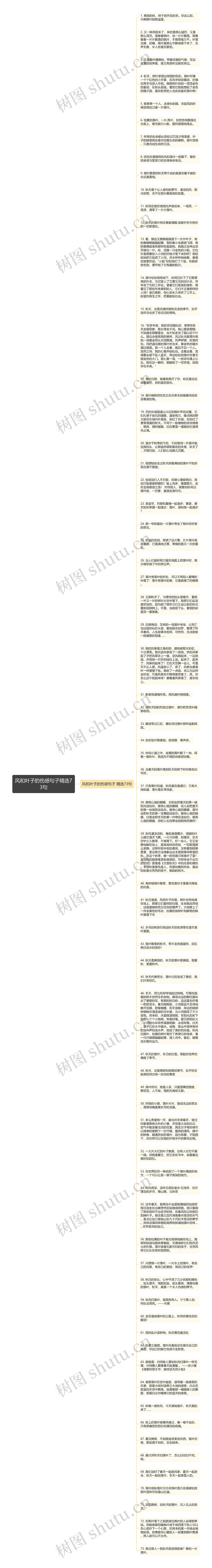 风和叶子的伤感句子精选73句