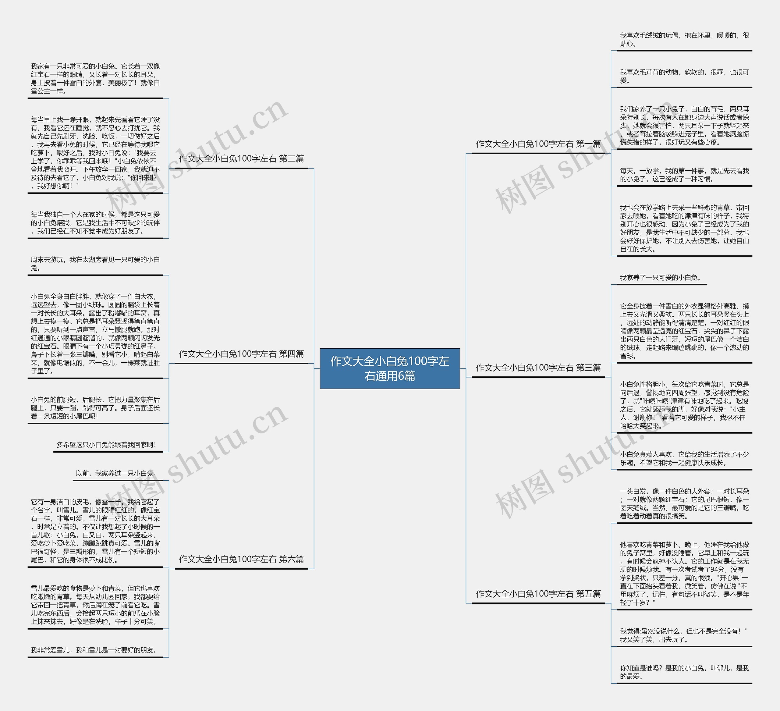 作文大全小白兔100字左右通用6篇