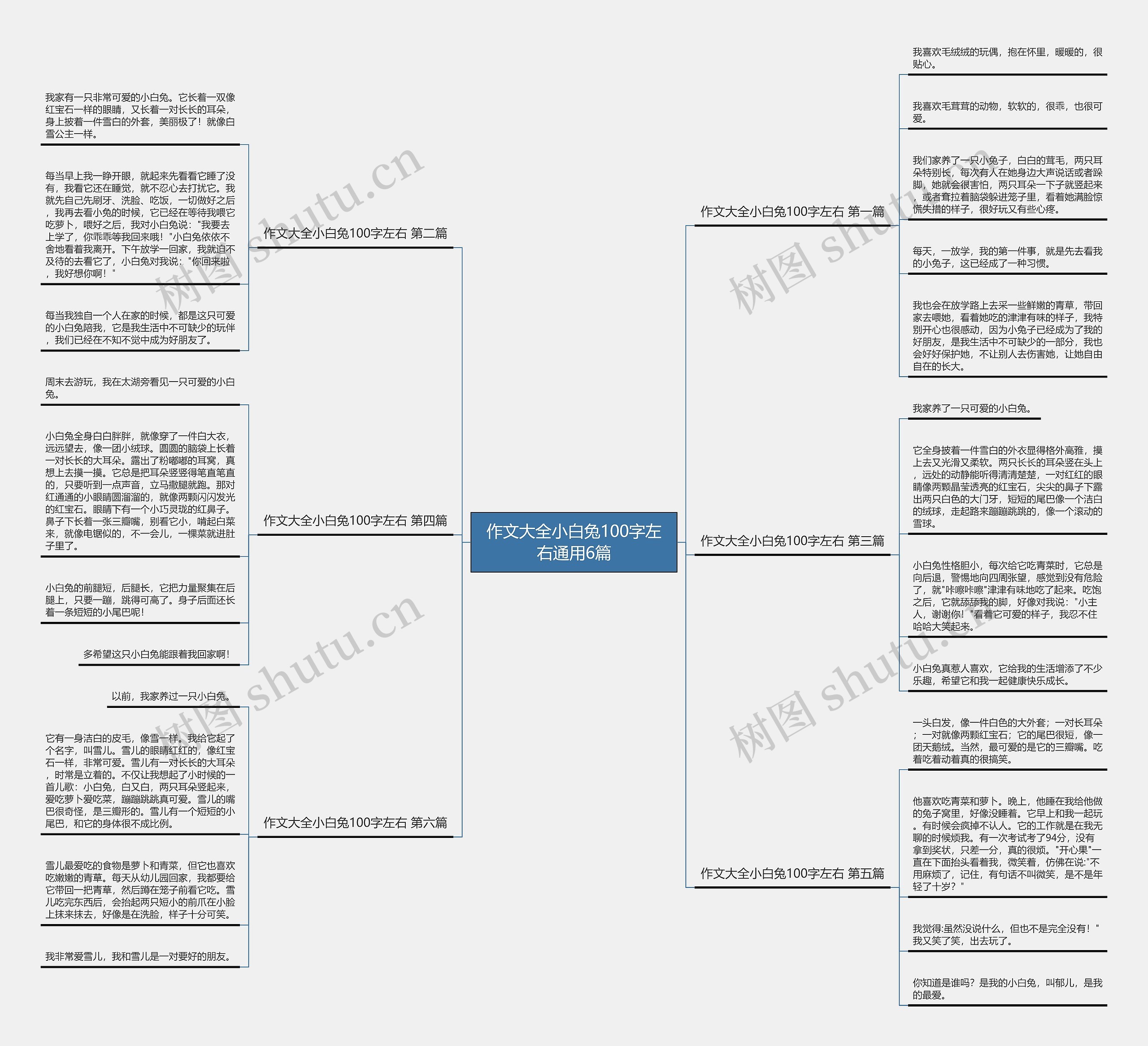 作文大全小白兔100字左右通用6篇 作文大全小白兔100字左右通用6篇