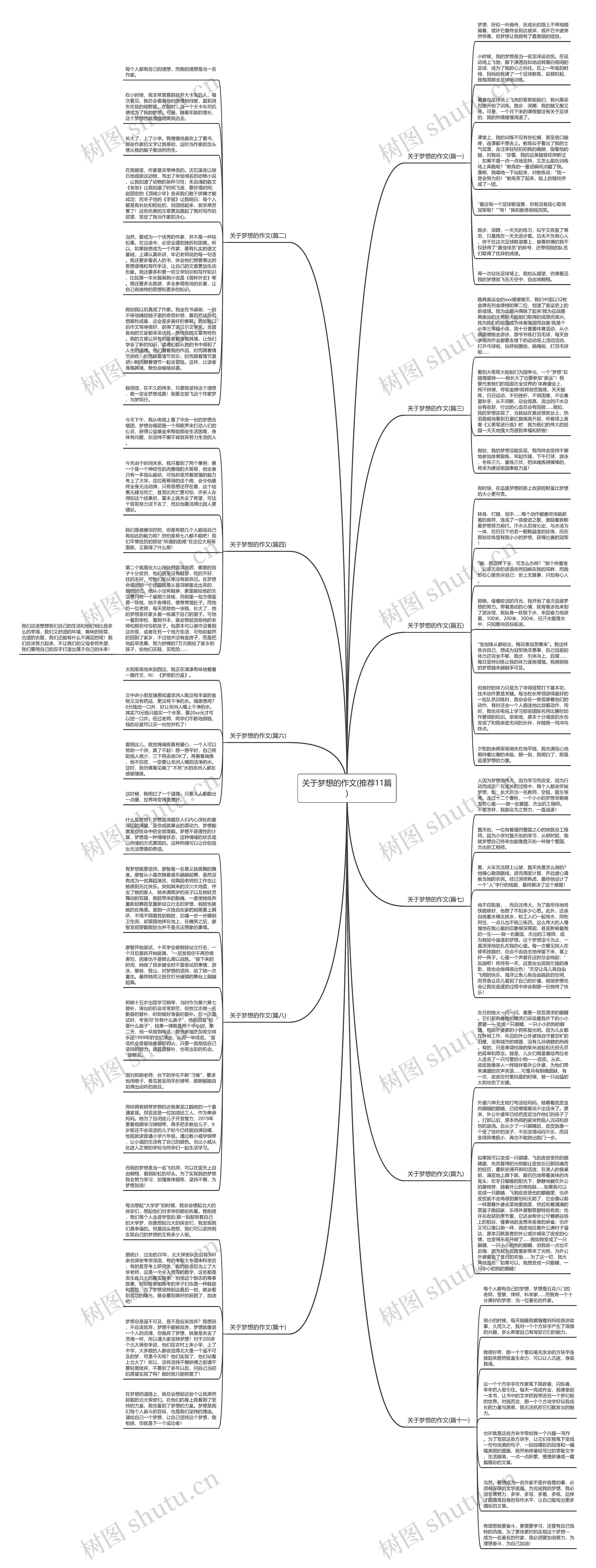 关于梦想的作文(推荐11篇)思维导图