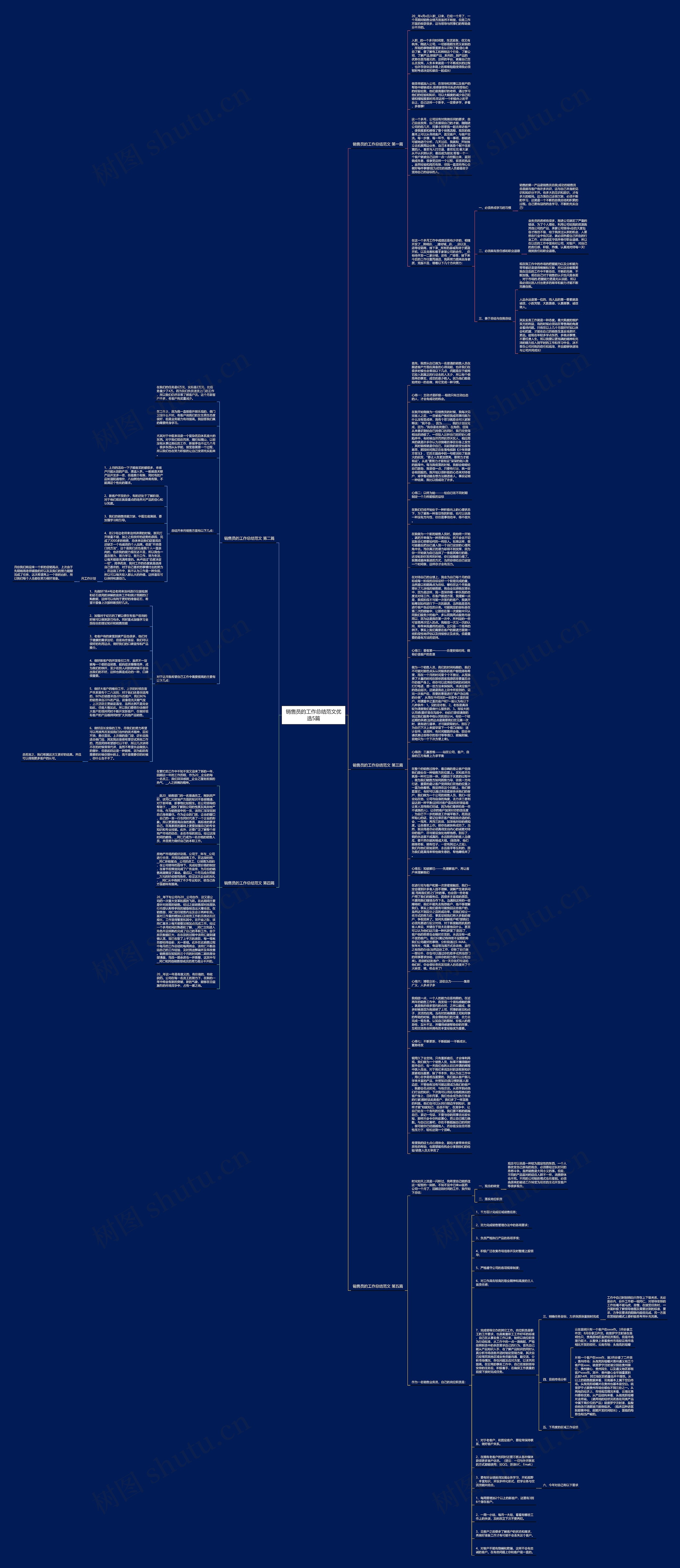 销售员的工作总结范文优选5篇思维导图