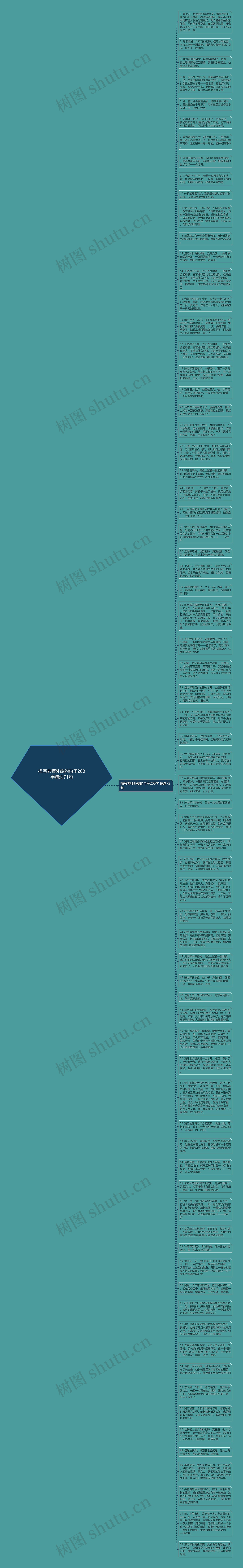 描写老师外貌的句子200字精选71句