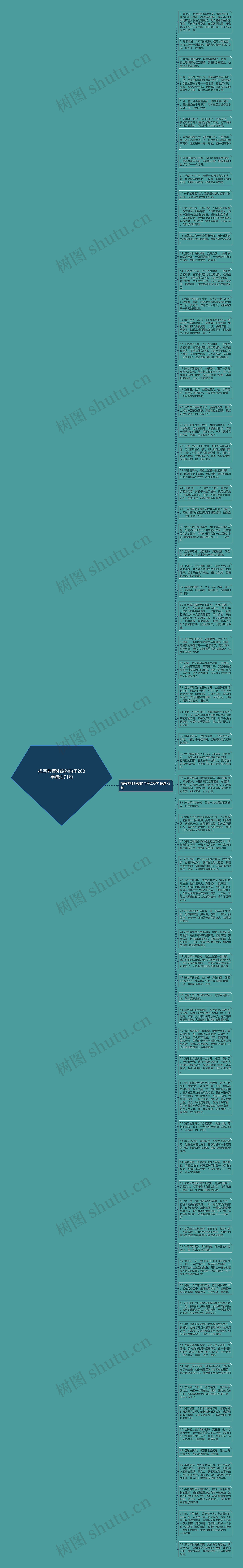 描写老师外貌的句子200字精选71句思维导图