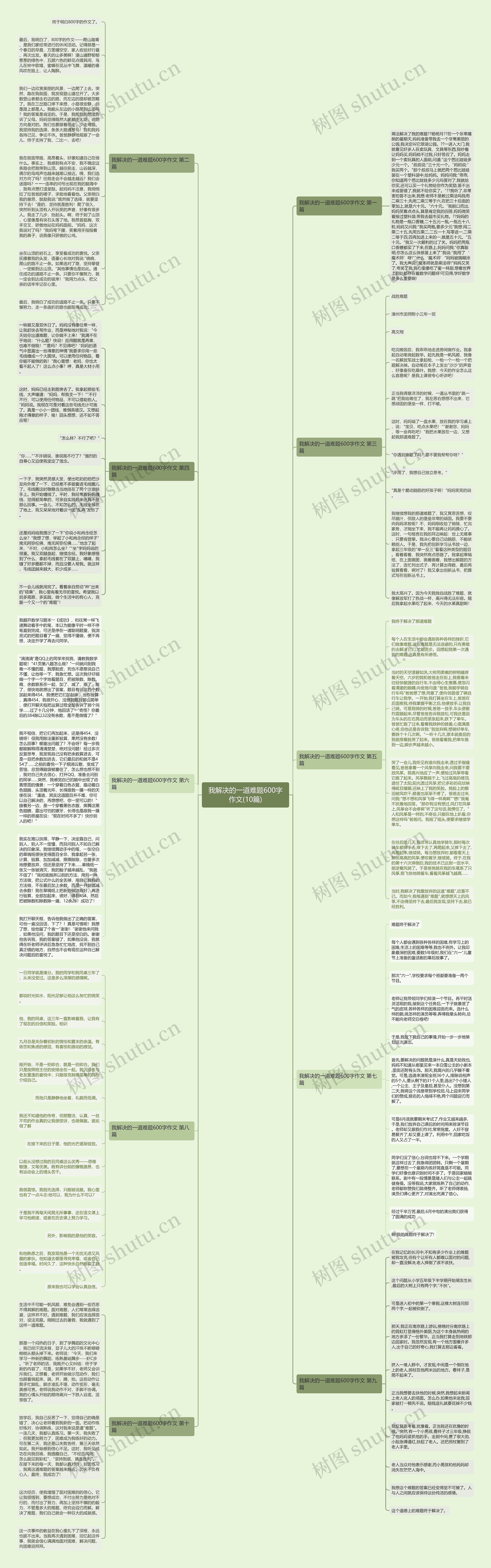 我解决的一道难题600字作文(10篇)思维导图