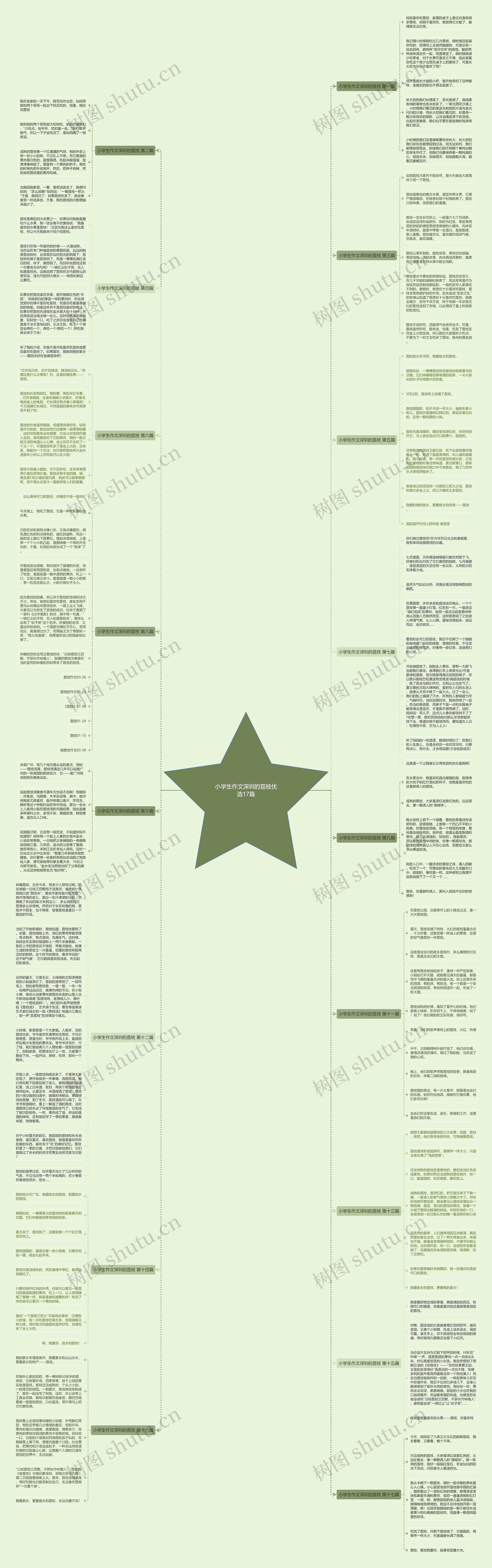 小学生作文深圳的荔枝优选17篇思维导图