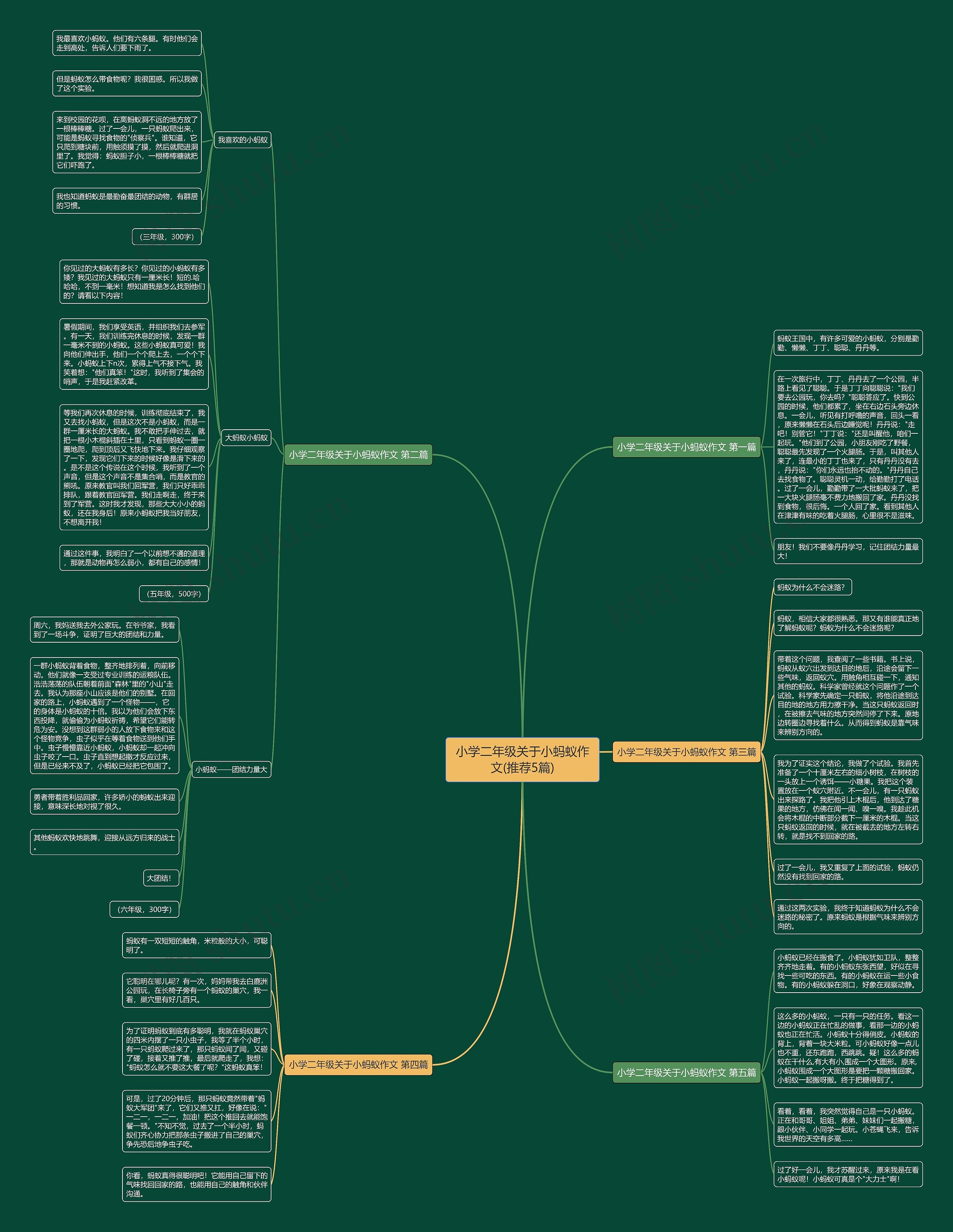 小学二年级关于小蚂蚁作文(推荐5篇)思维导图
