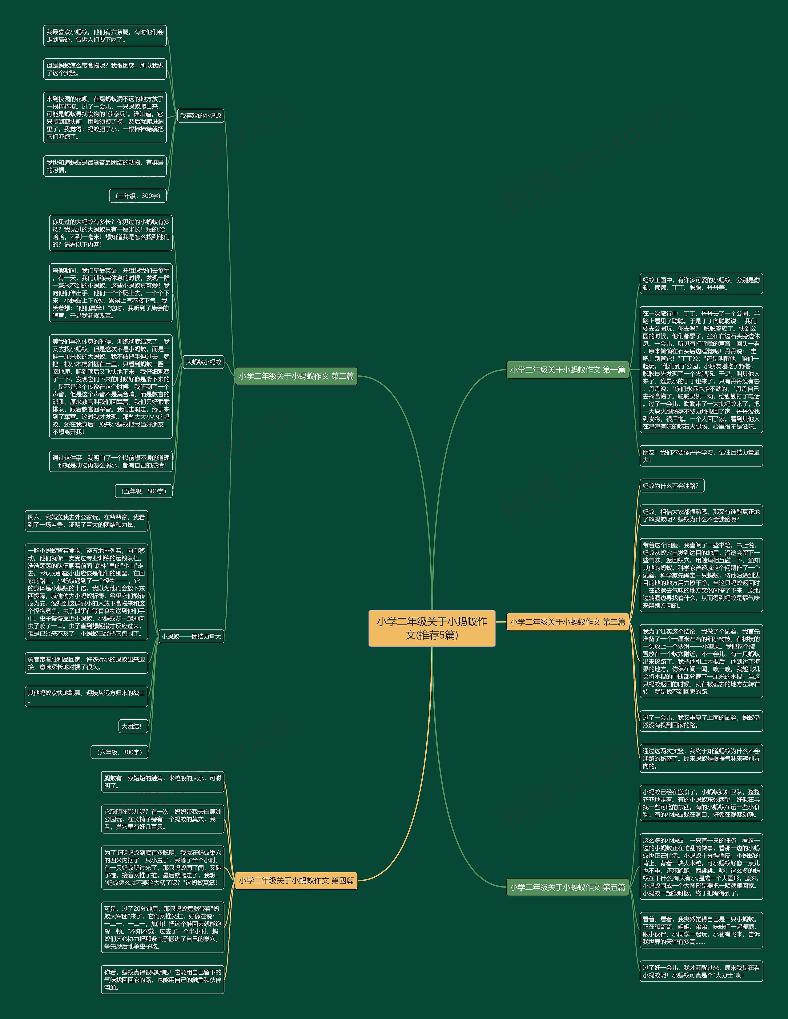 小学二年级关于小蚂蚁作文(推荐5篇) 小学二年级关于小蚂蚁作文(推荐5篇)