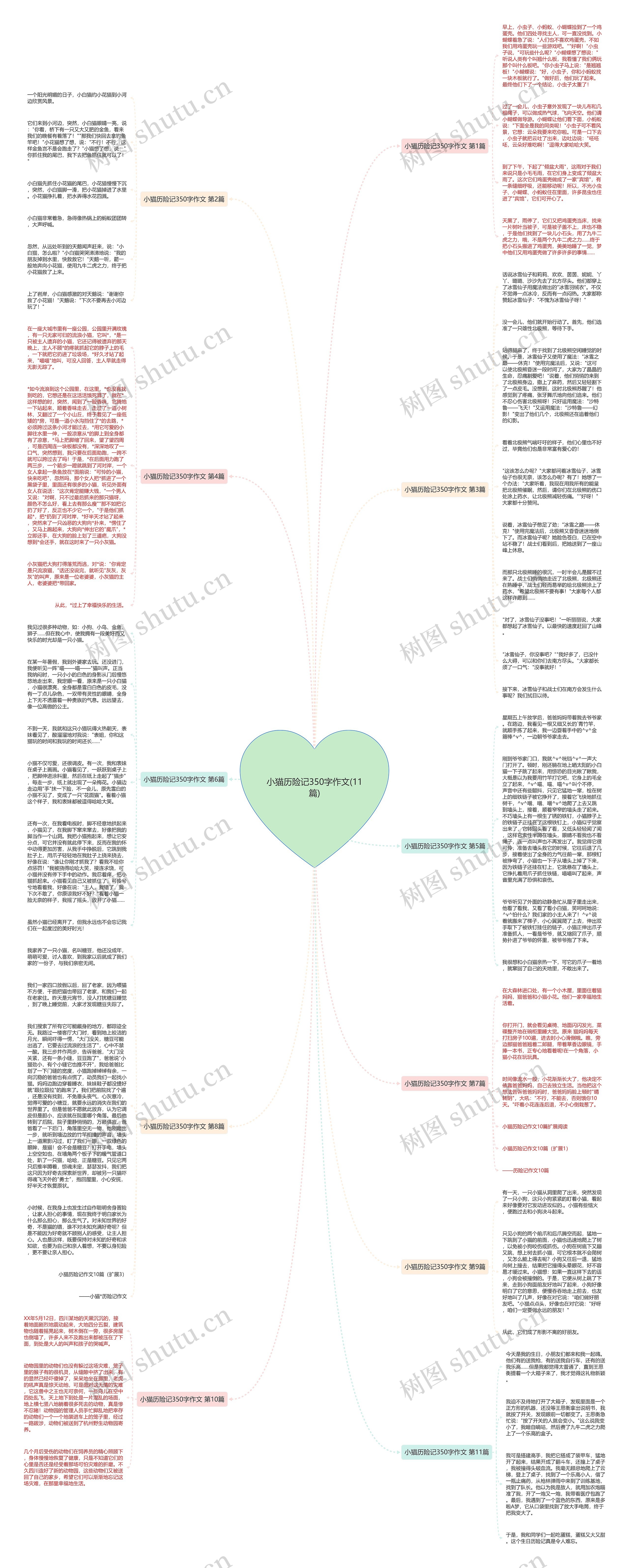 小猫历险记350字作文(11篇)思维导图