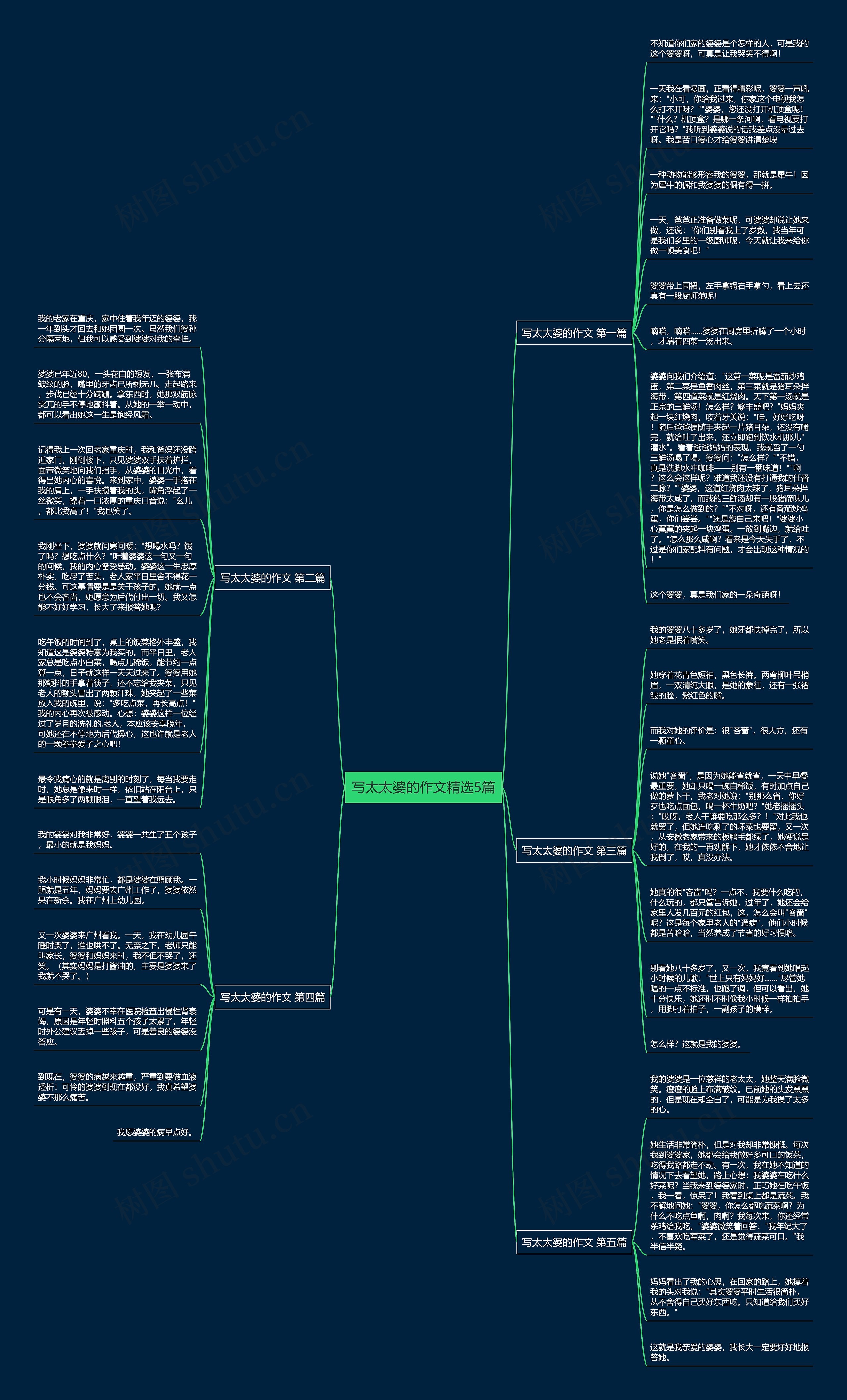 写太太婆的作文精选5篇思维导图