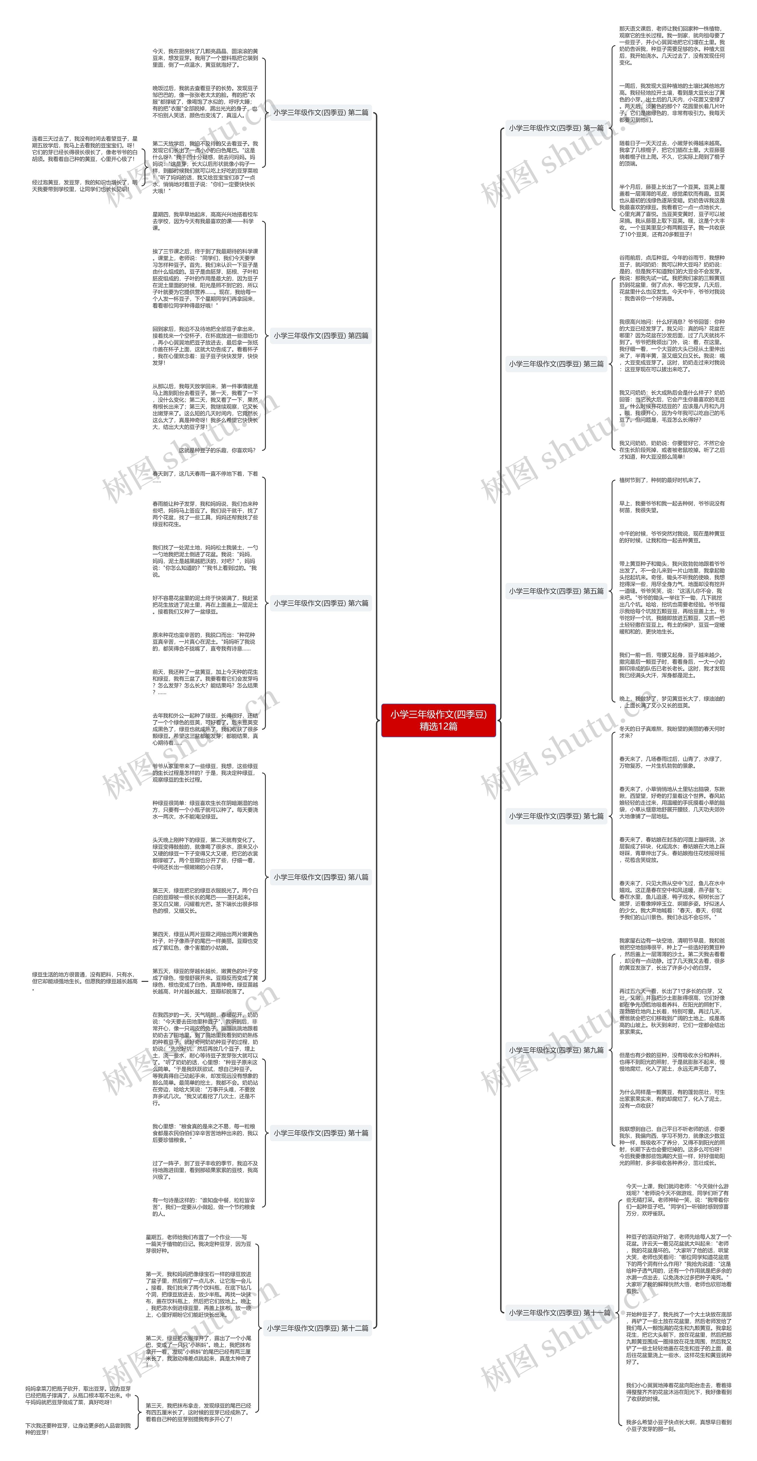 小学三年级作文(四季豆)精选12篇思维导图