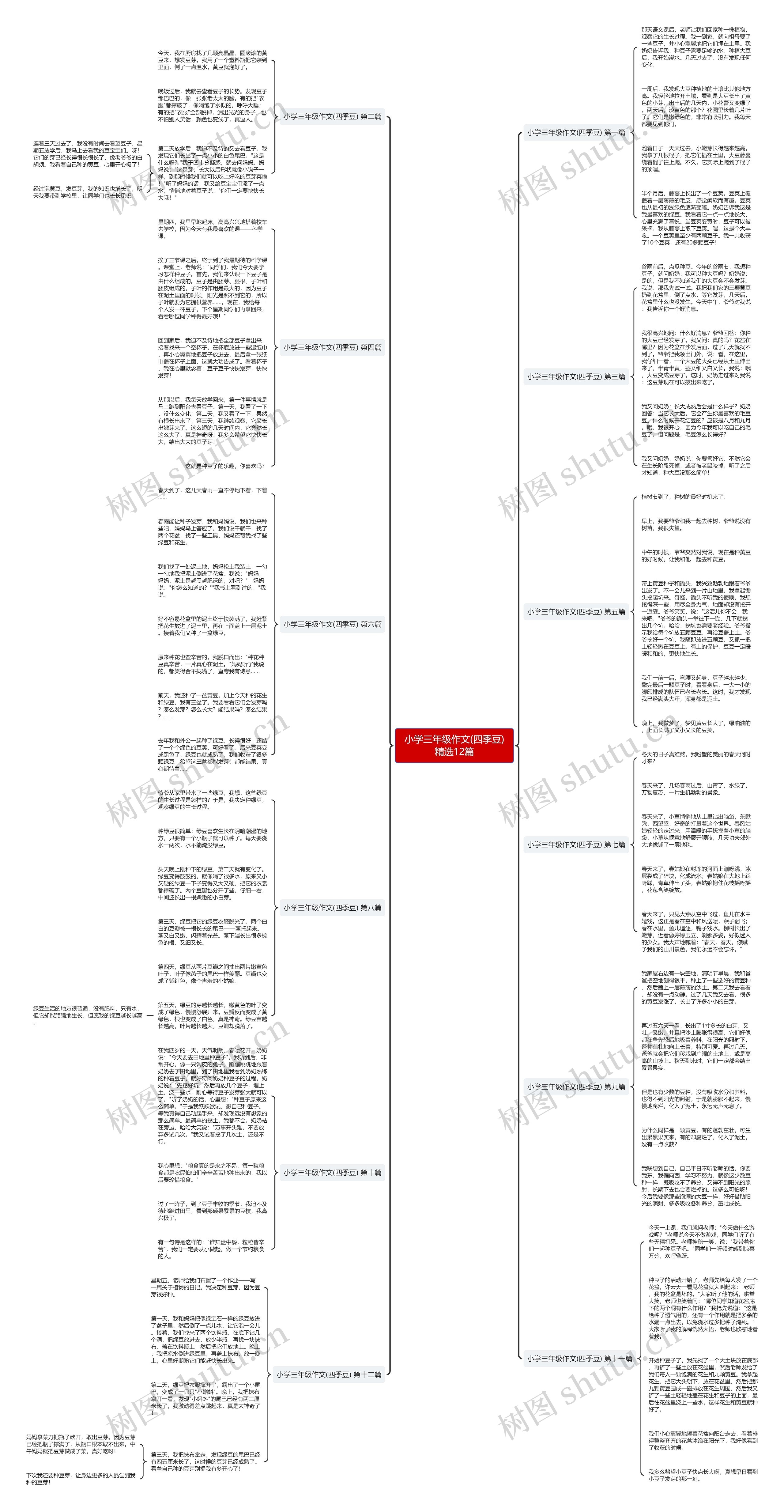 小学三年级作文(四季豆)精选12篇 小学三年级作文(四季豆)精选12篇