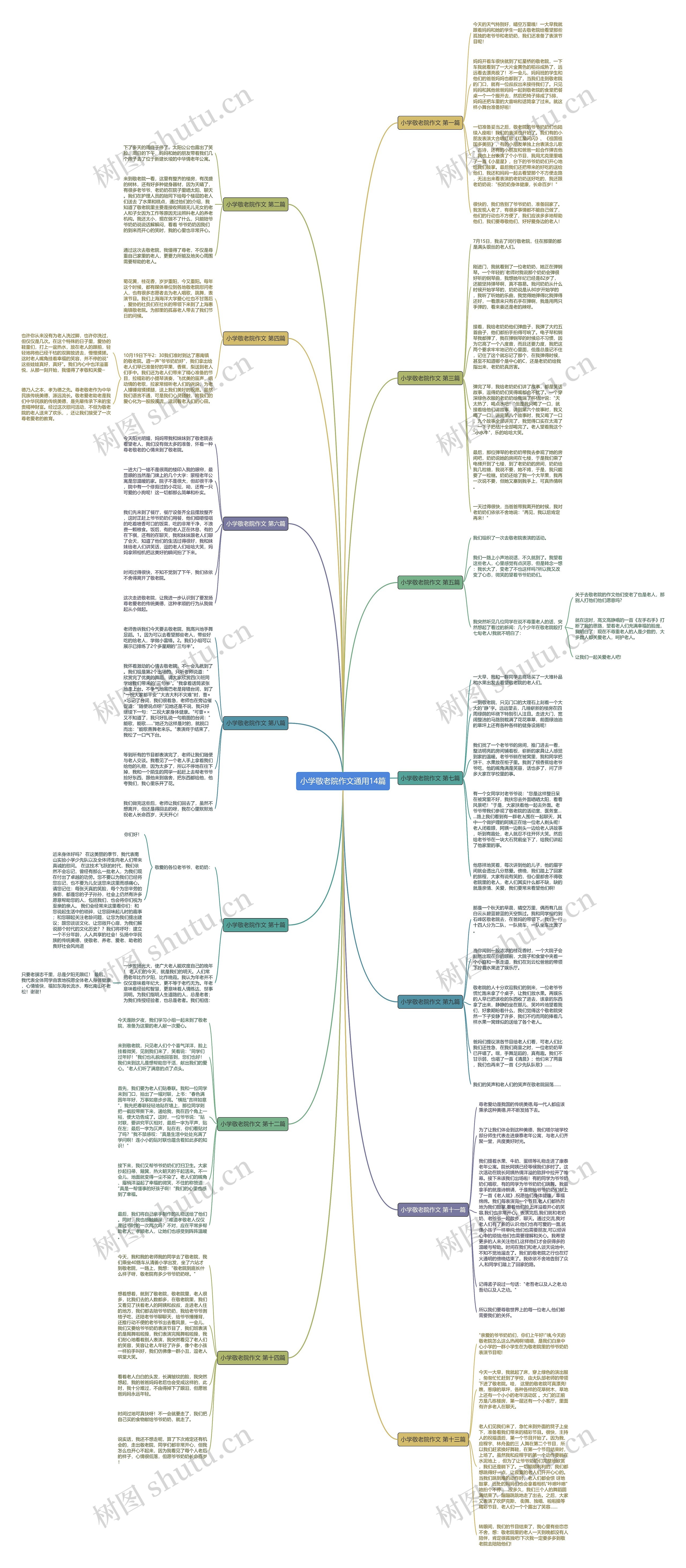 小学敬老院作文通用14篇思维导图