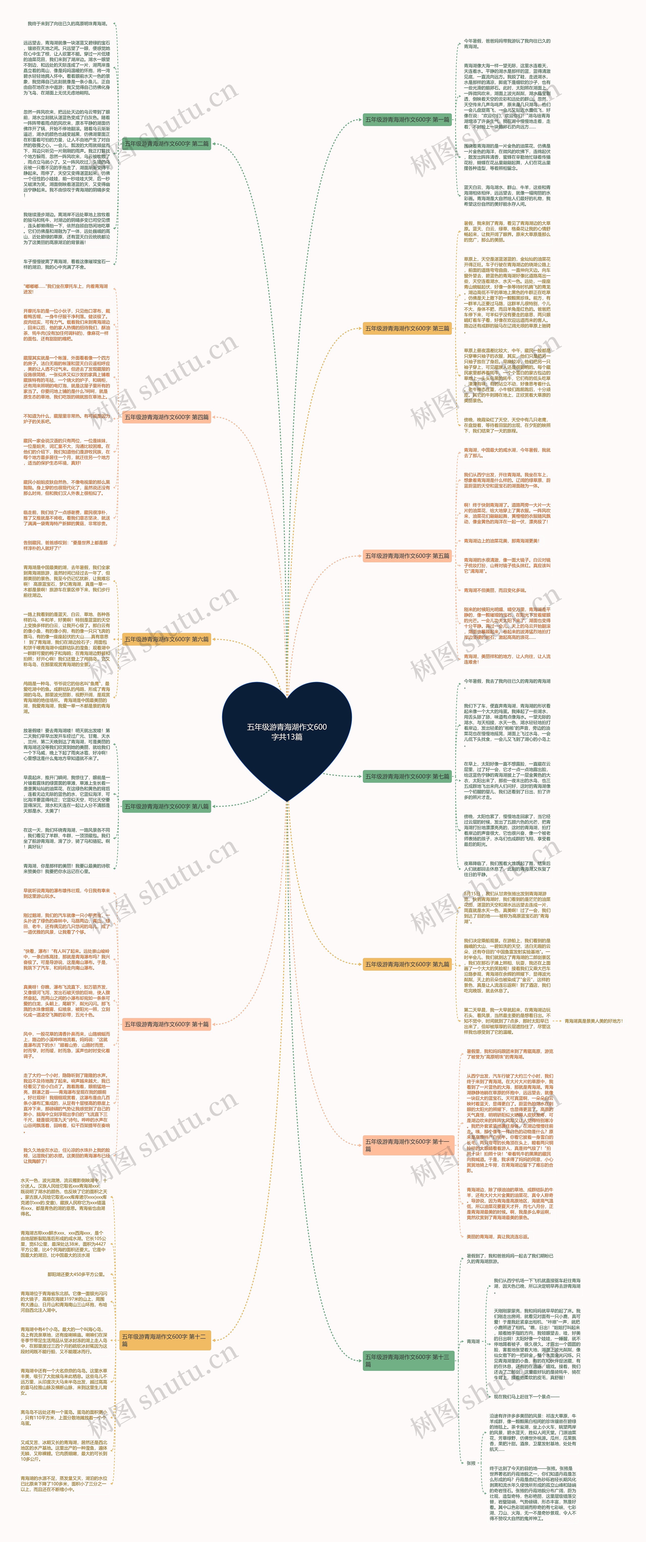 五年级游青海湖作文600字共13篇思维导图